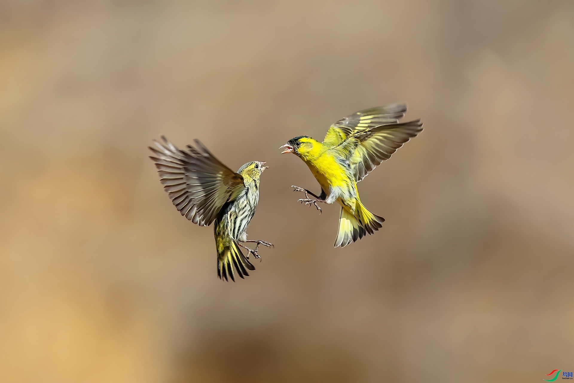 4.24���Ŀ�����ʦ��Ʒ   �������� ��ף���ٻ����������.jpg