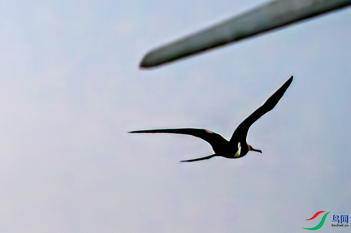 DSC_9616-11.jpg