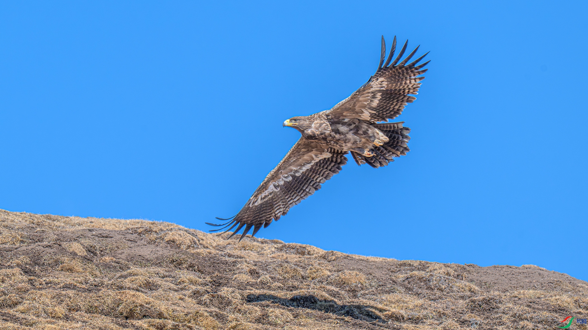 DSC_3080_����.jpg