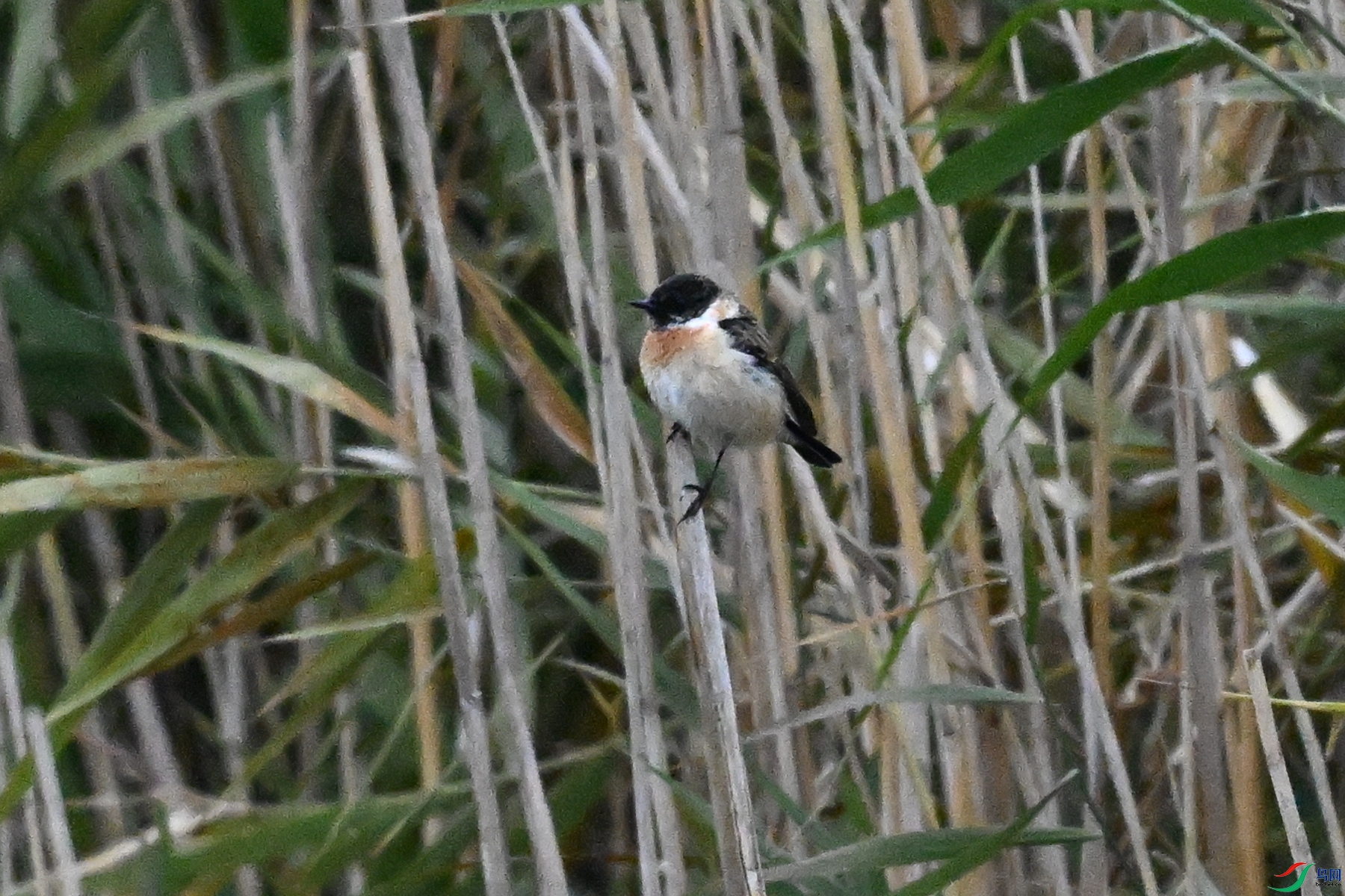 DSC_7814.JPG