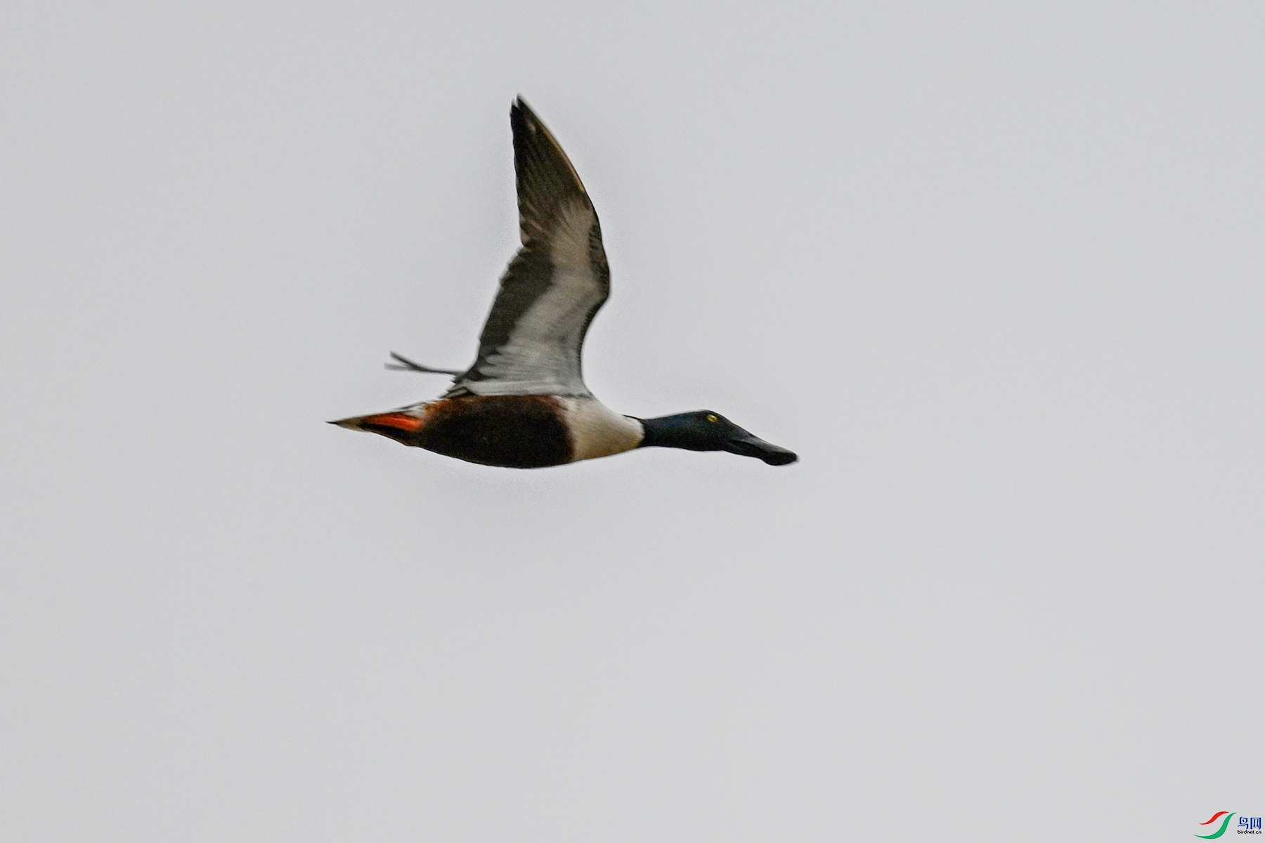 DSC_7824.JPG