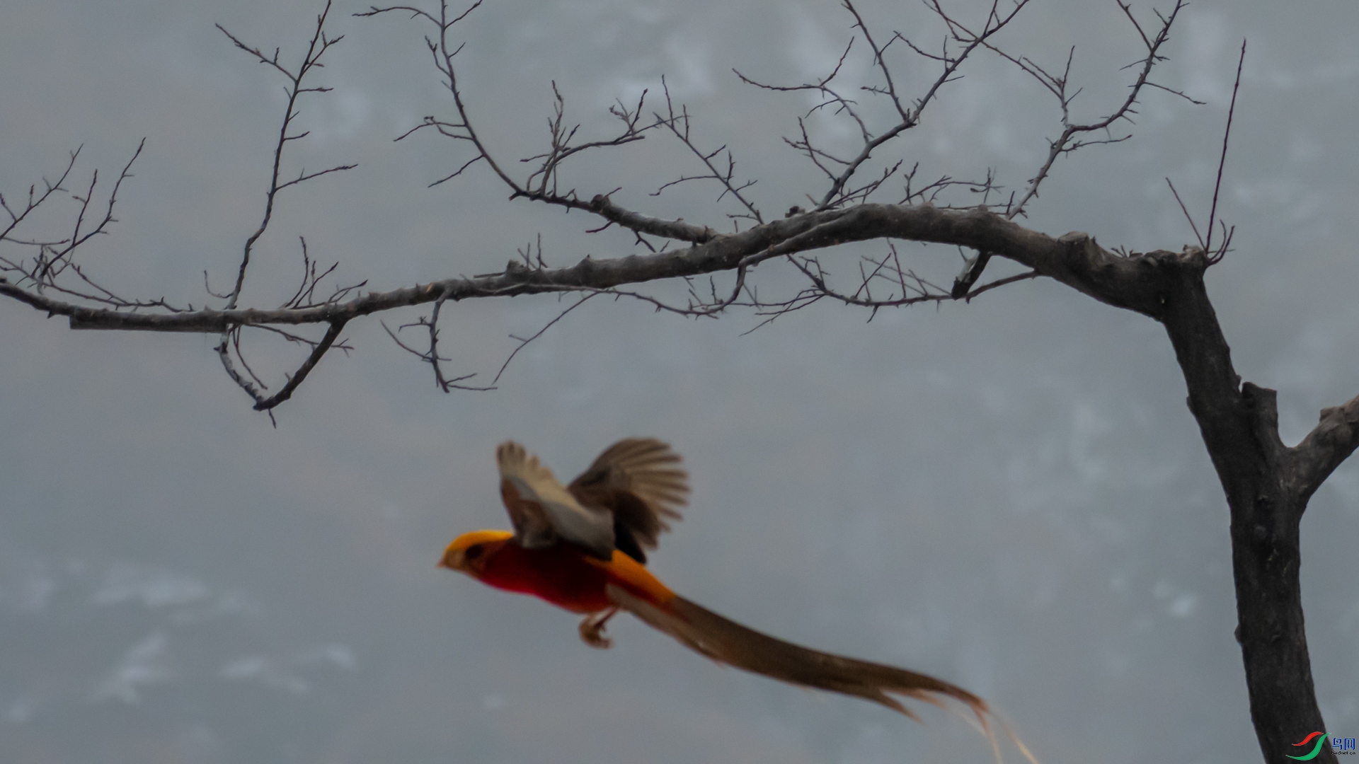 DSC_6255.jpg