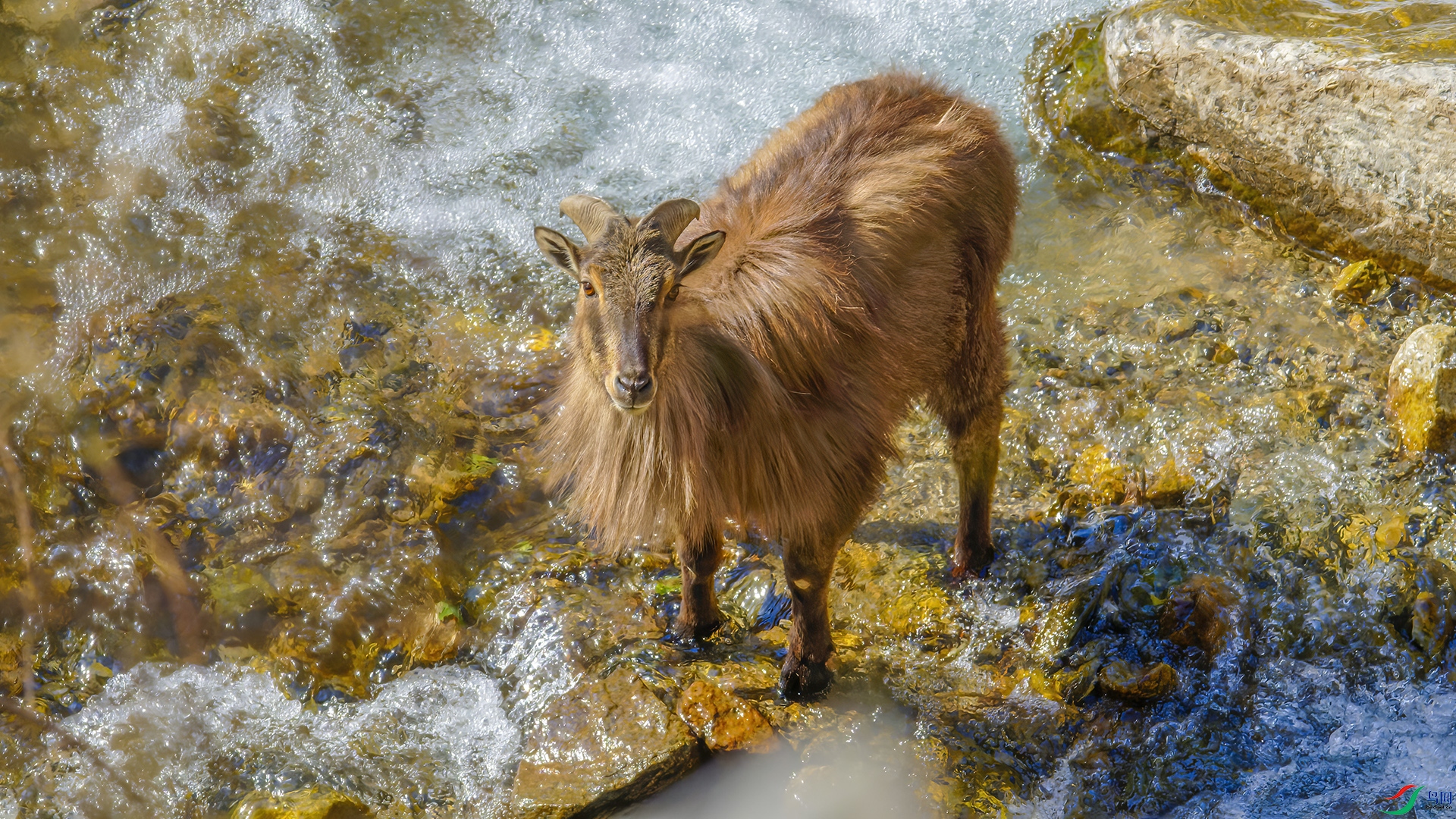_DSC8219-NEF_DxO_DeepPRIME.jpg