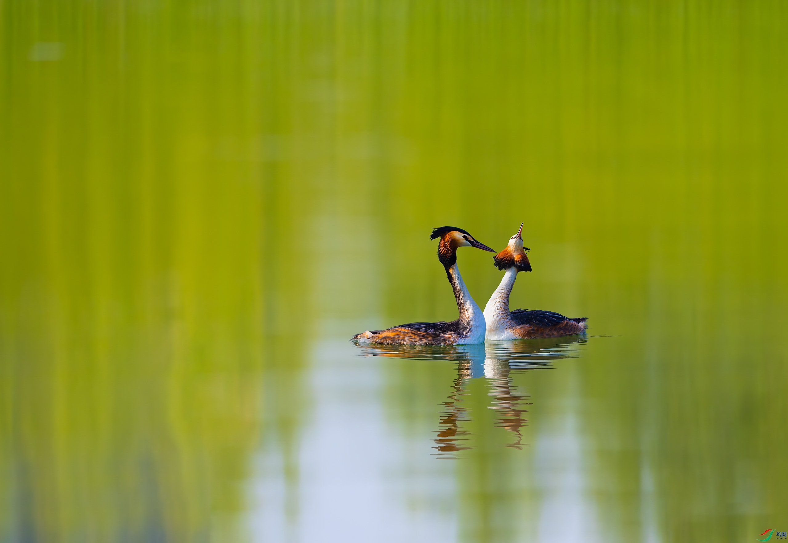 _DSC0292-DxOС��ˮӡ.jpg