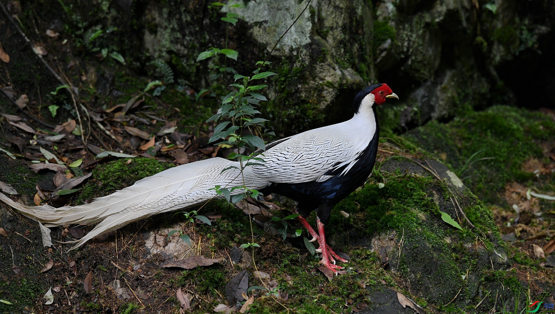 DSC_1722.jpg