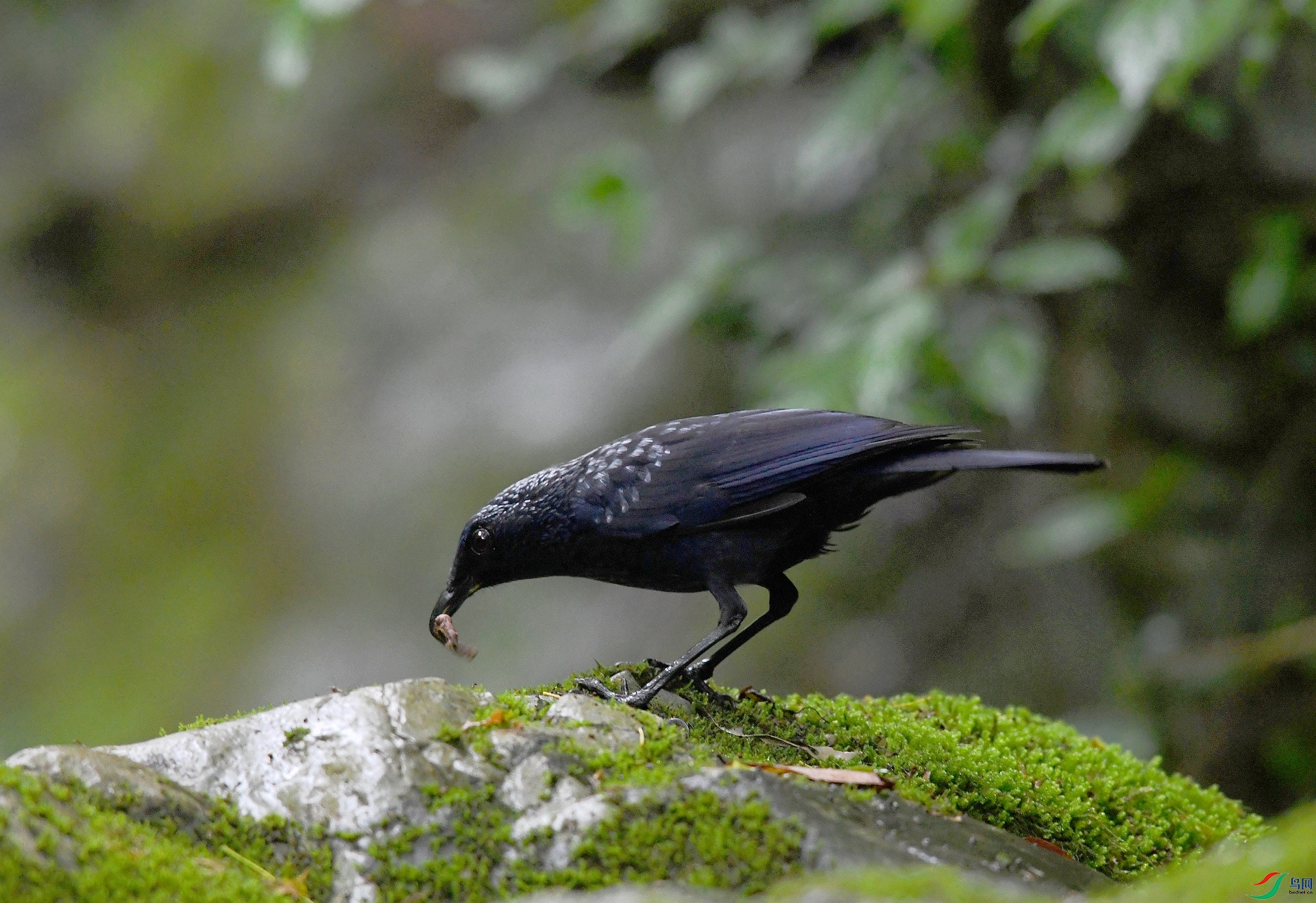 DSC_1030.jpg