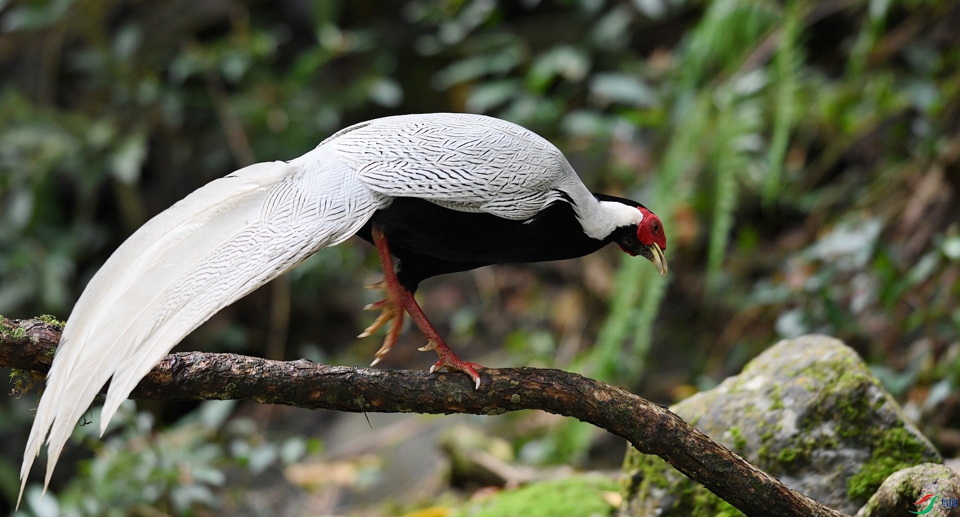 DSC_2112.jpg