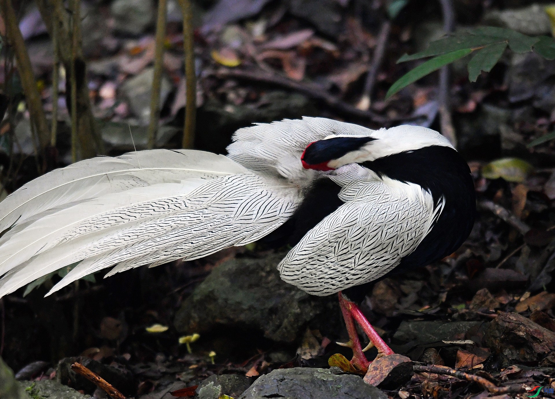 DSC_2270.jpg