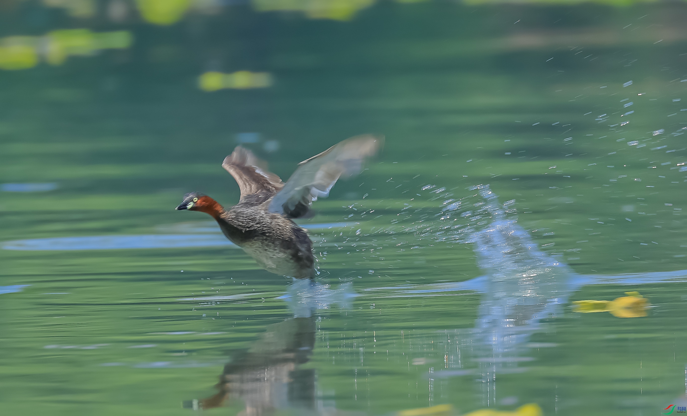 L10A0272 ����.jpg