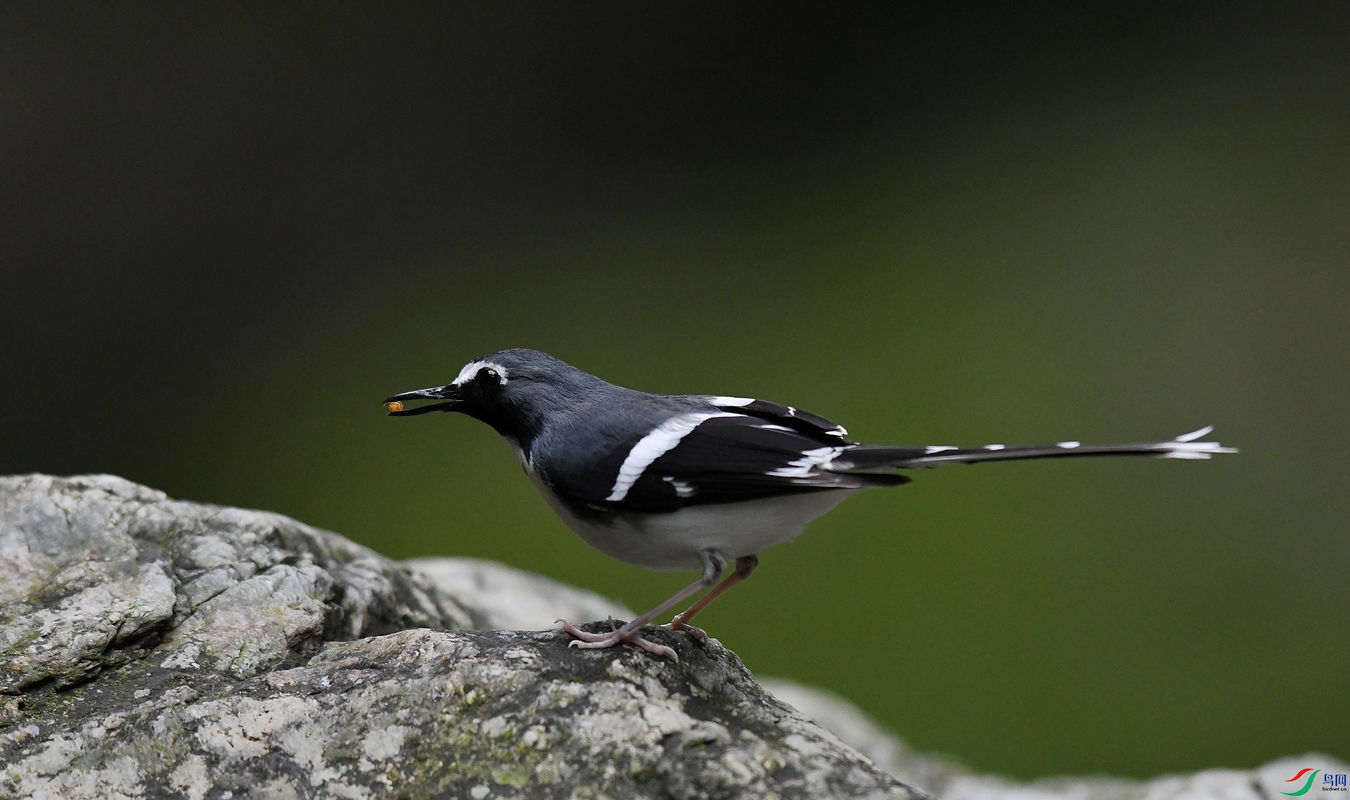 DSC_2502.jpg