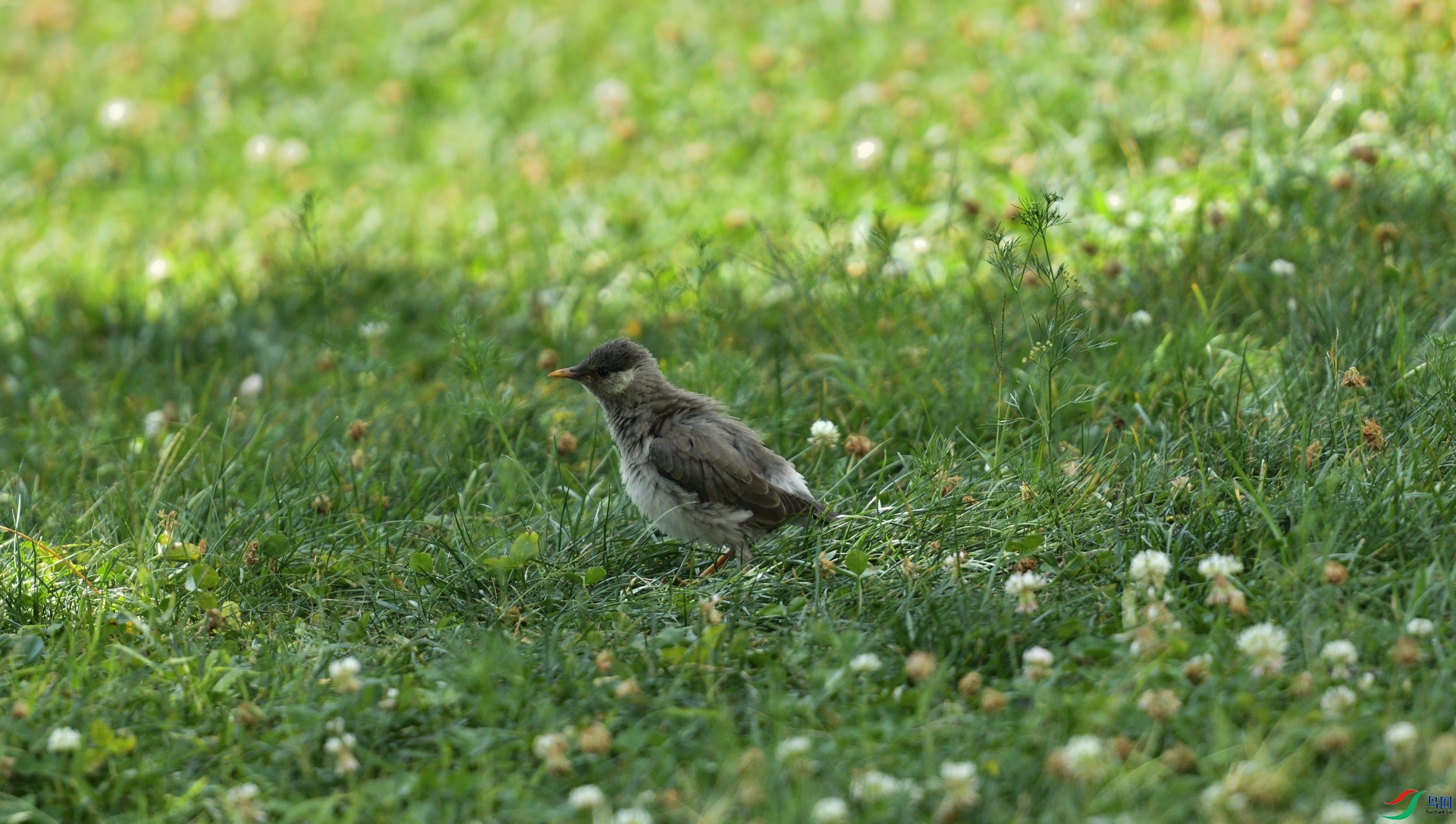 DSC_9768_10.JPG