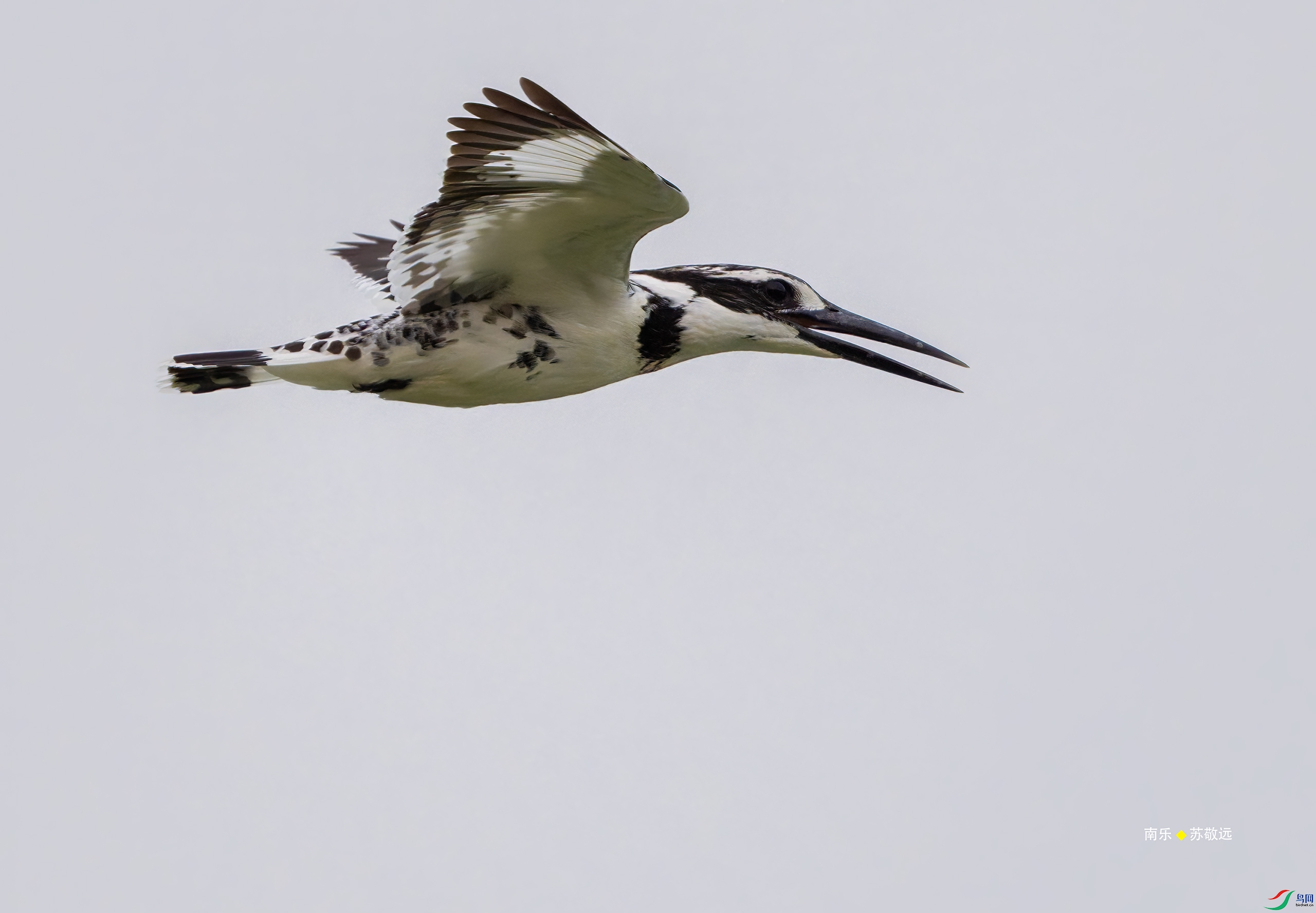 _DSC2875-DxO_С.jpg