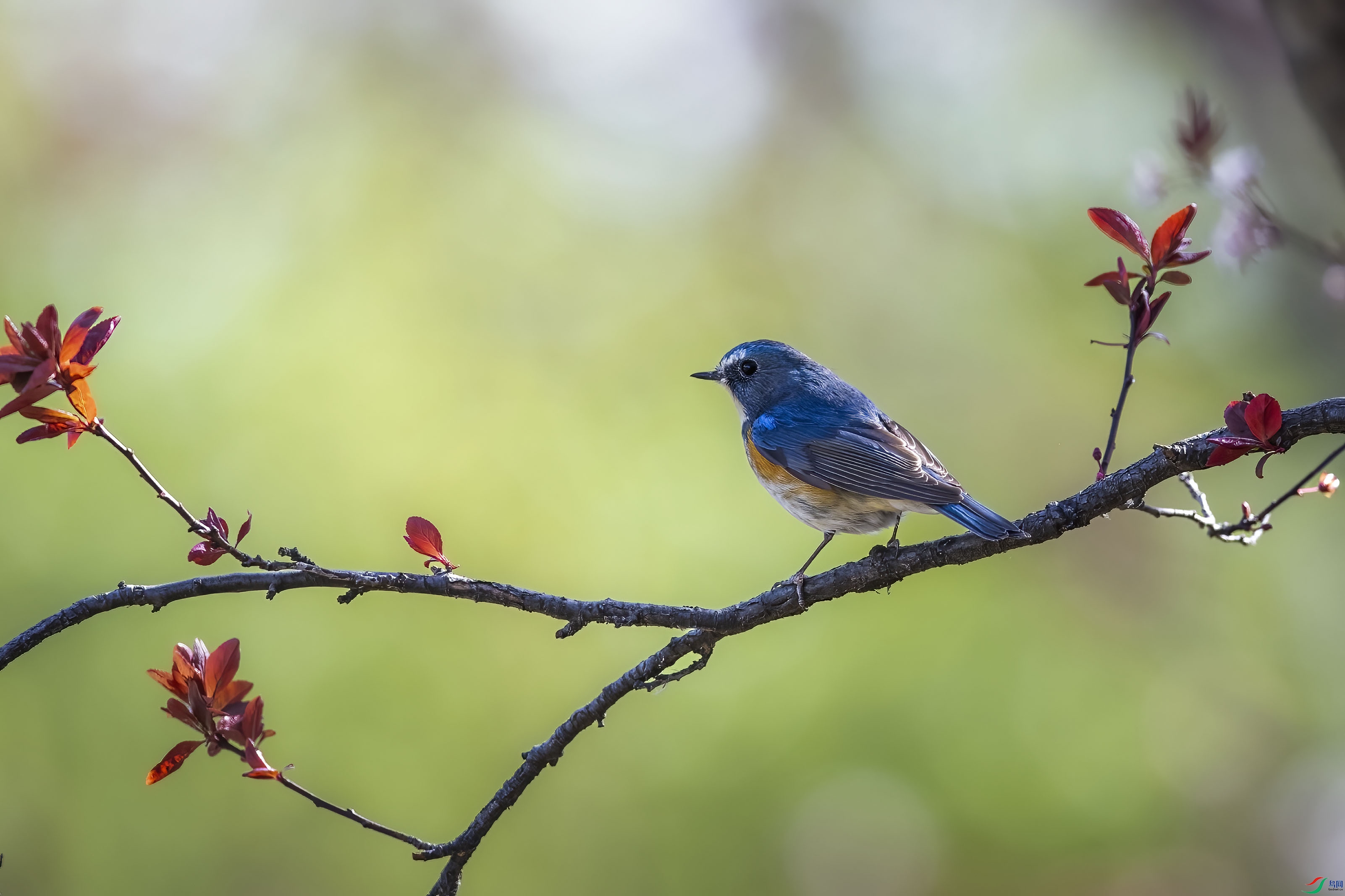 DSC_5558 ����-b.jpg