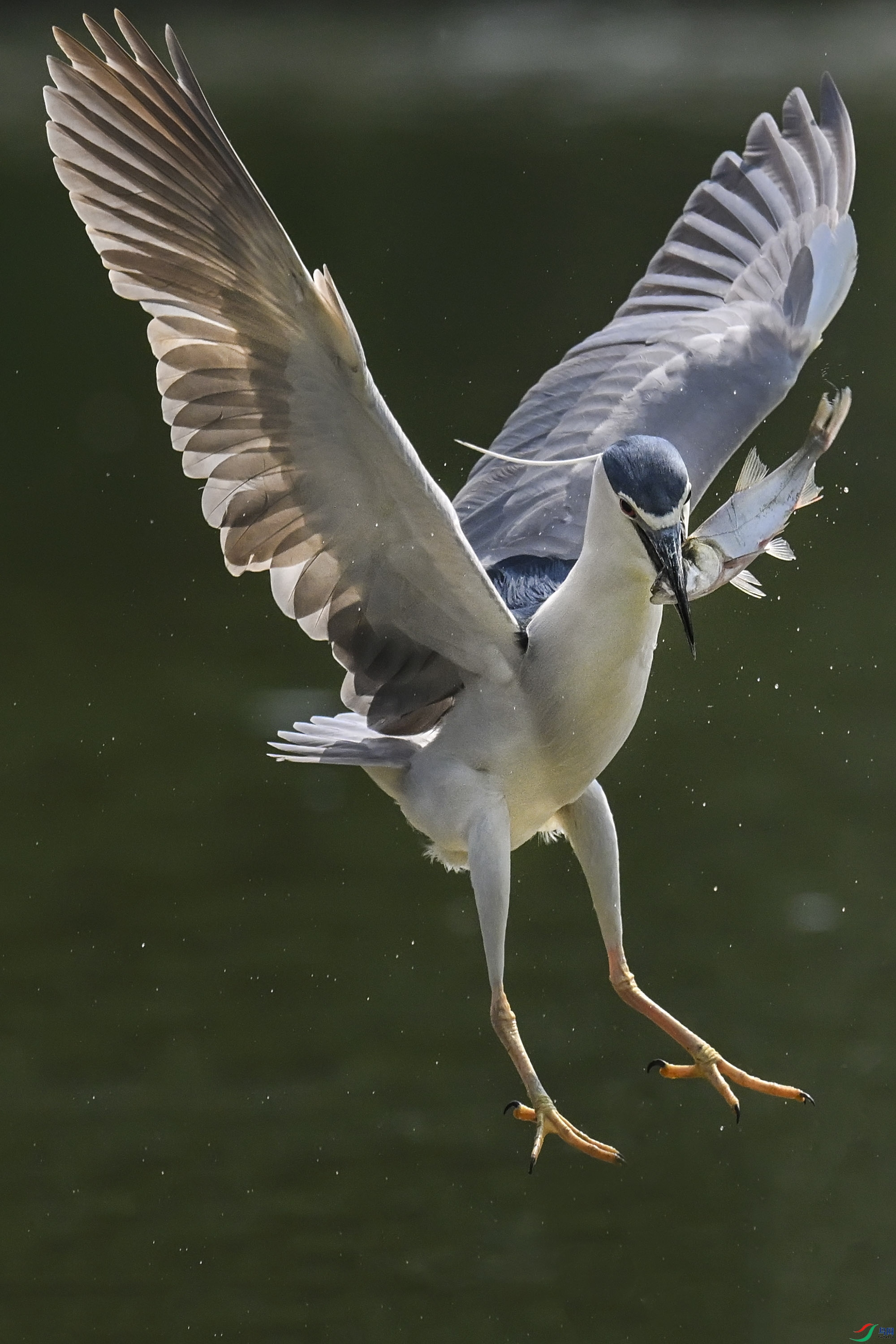 DSC_6765.jpg