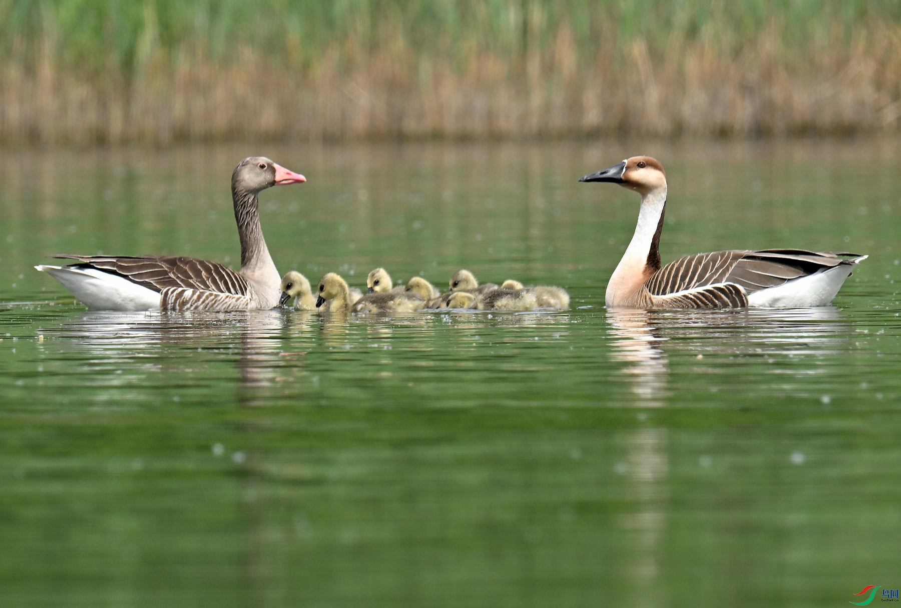 DSC_3584.JPG