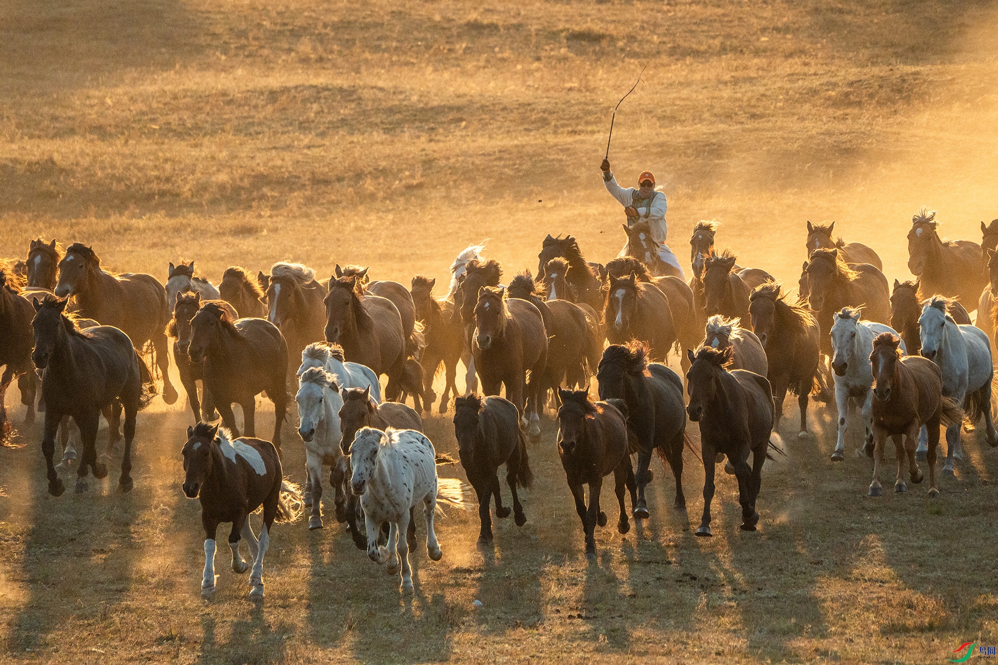 _DSC3197 ���� 2.jpg