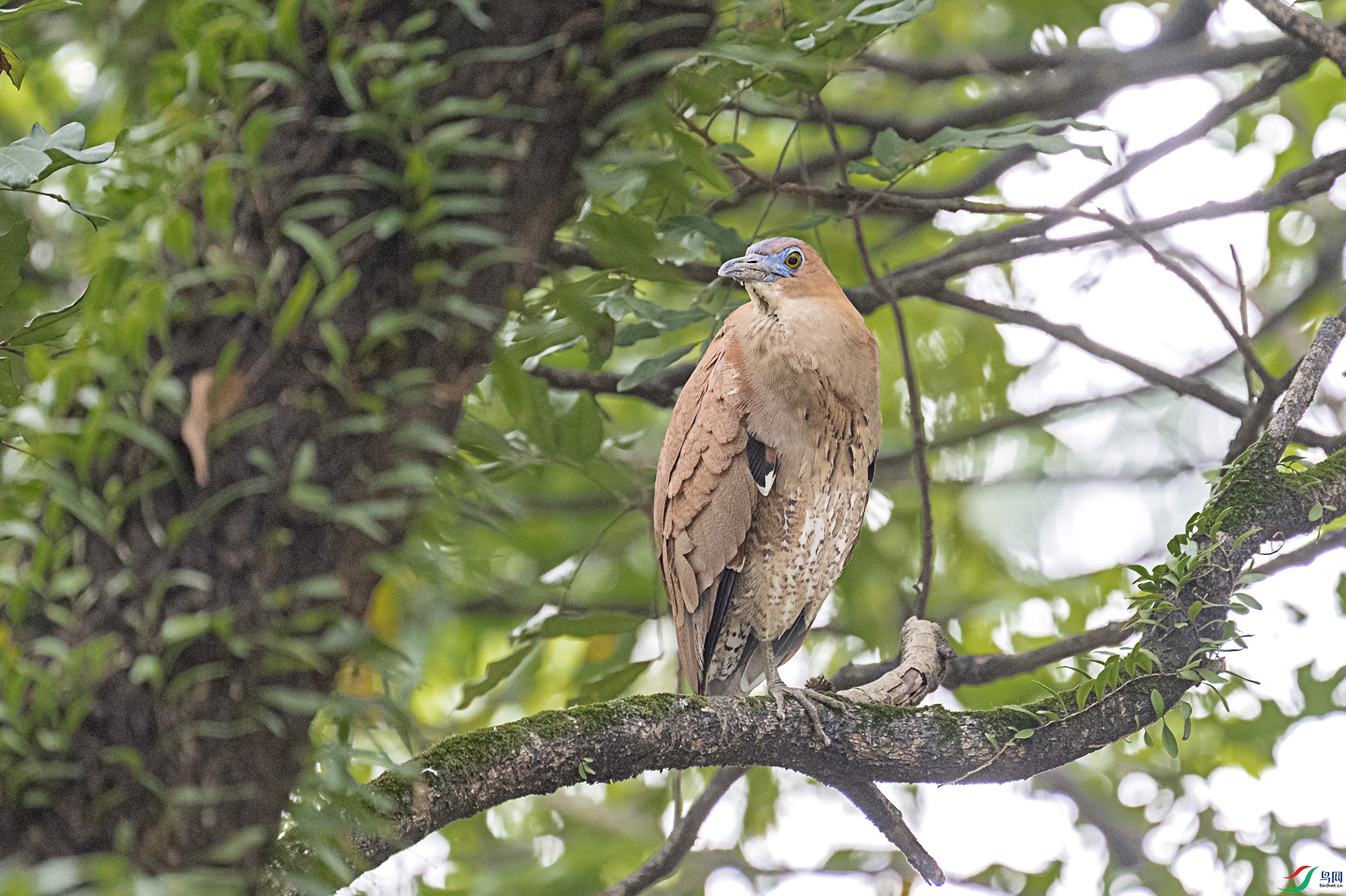DSC_7814.jpg