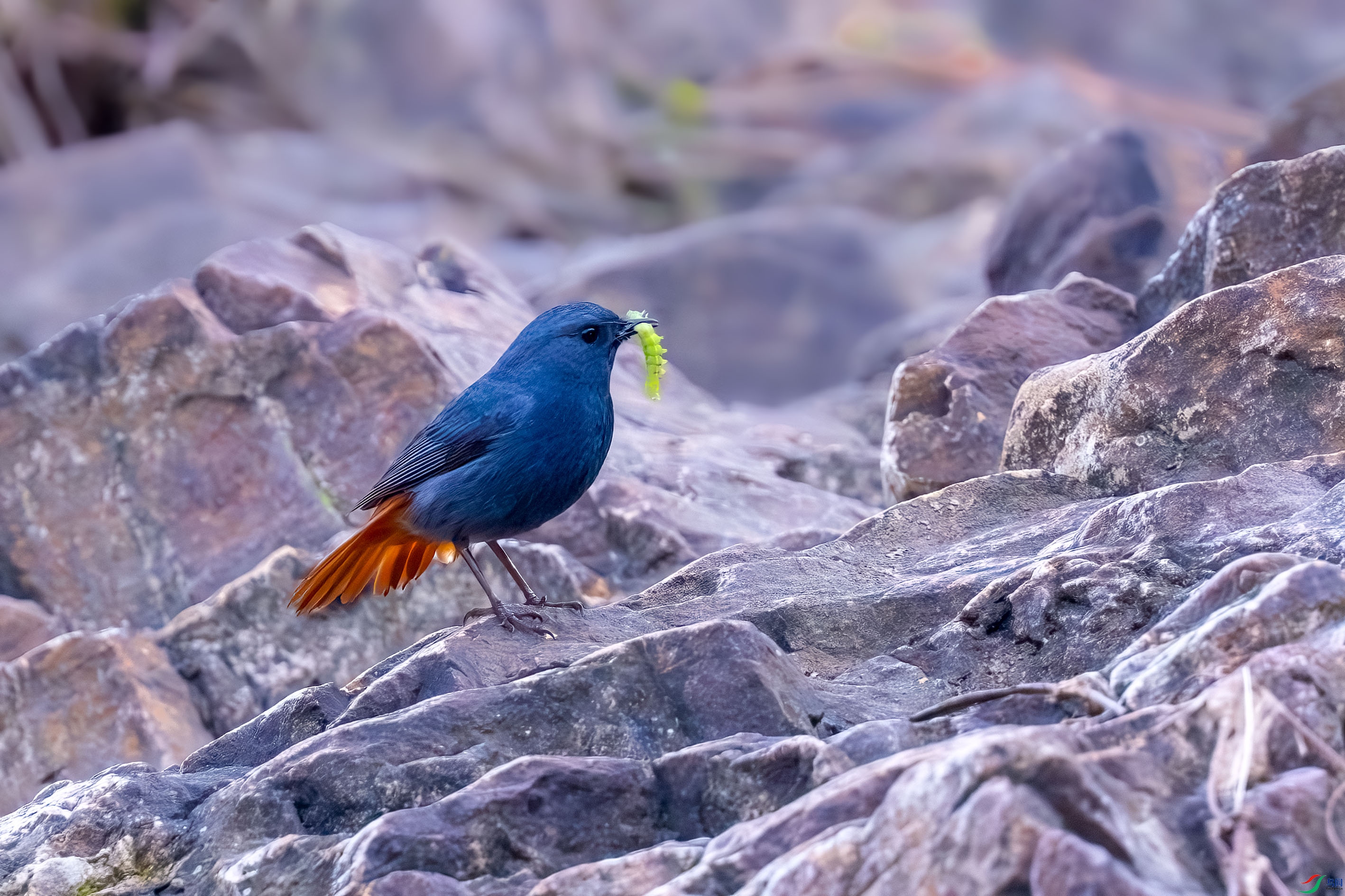 _DSC1028.jpg