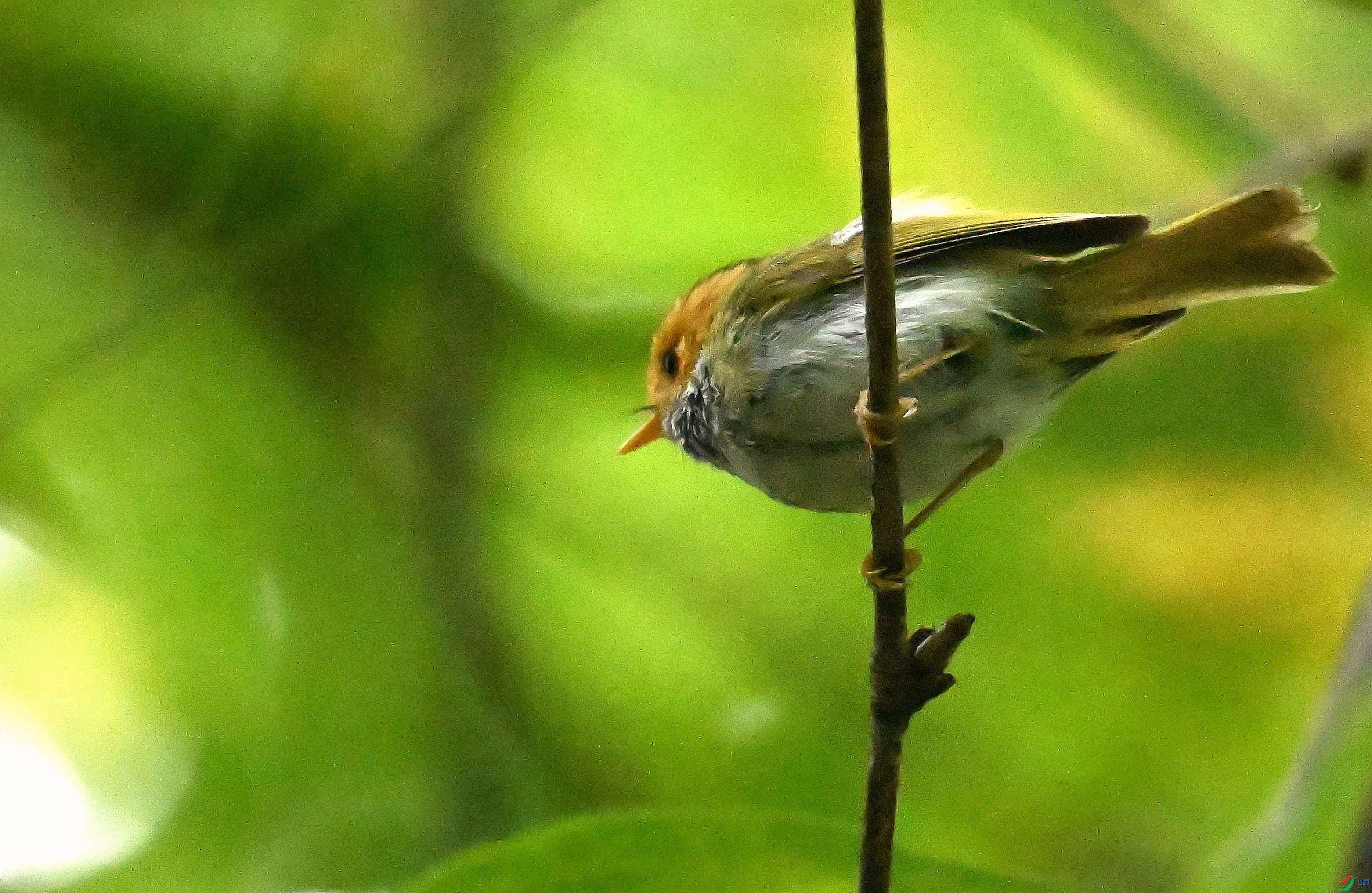DSC_8884_����.jpg