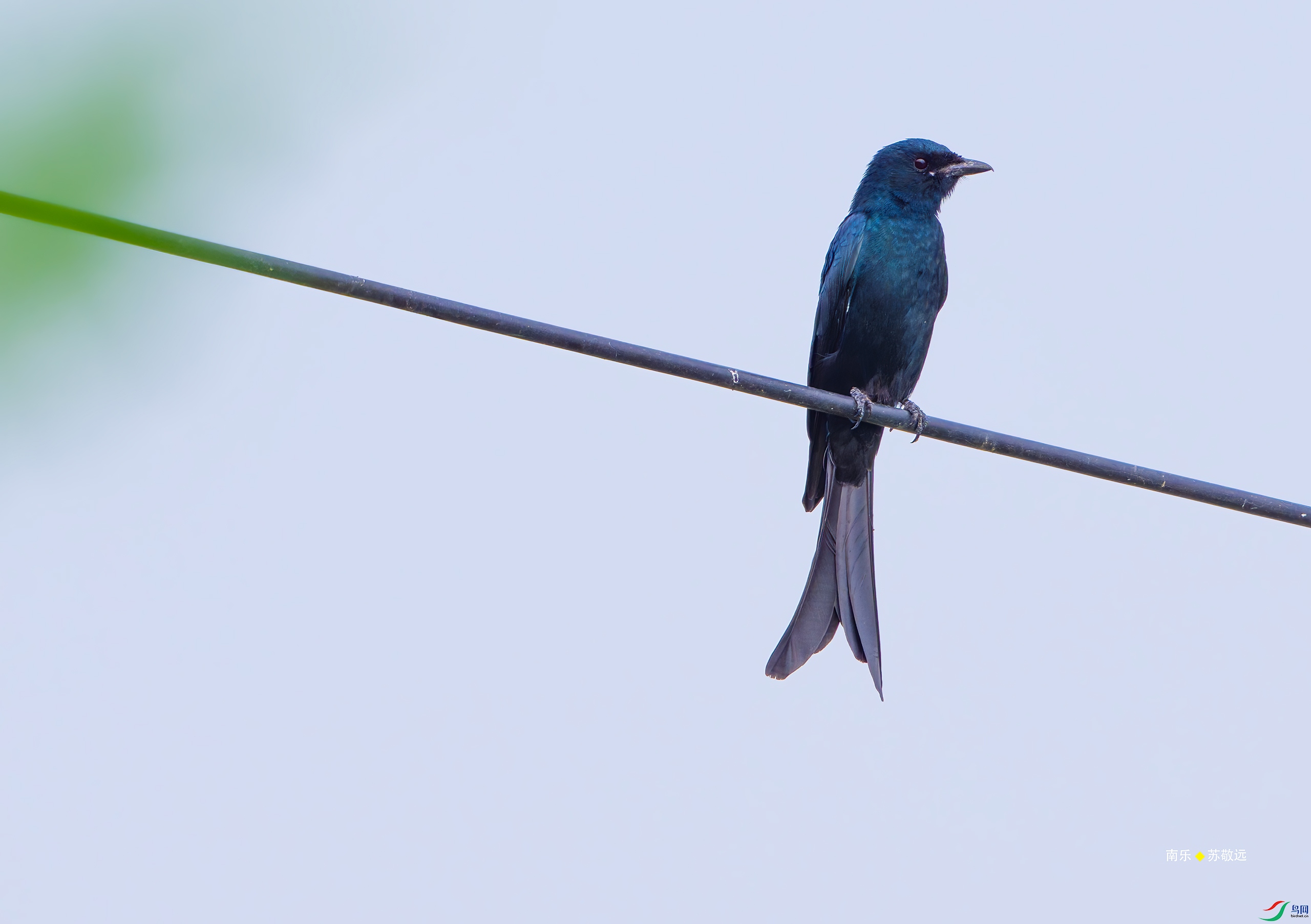 _DSC6783-DxO_С.jpg