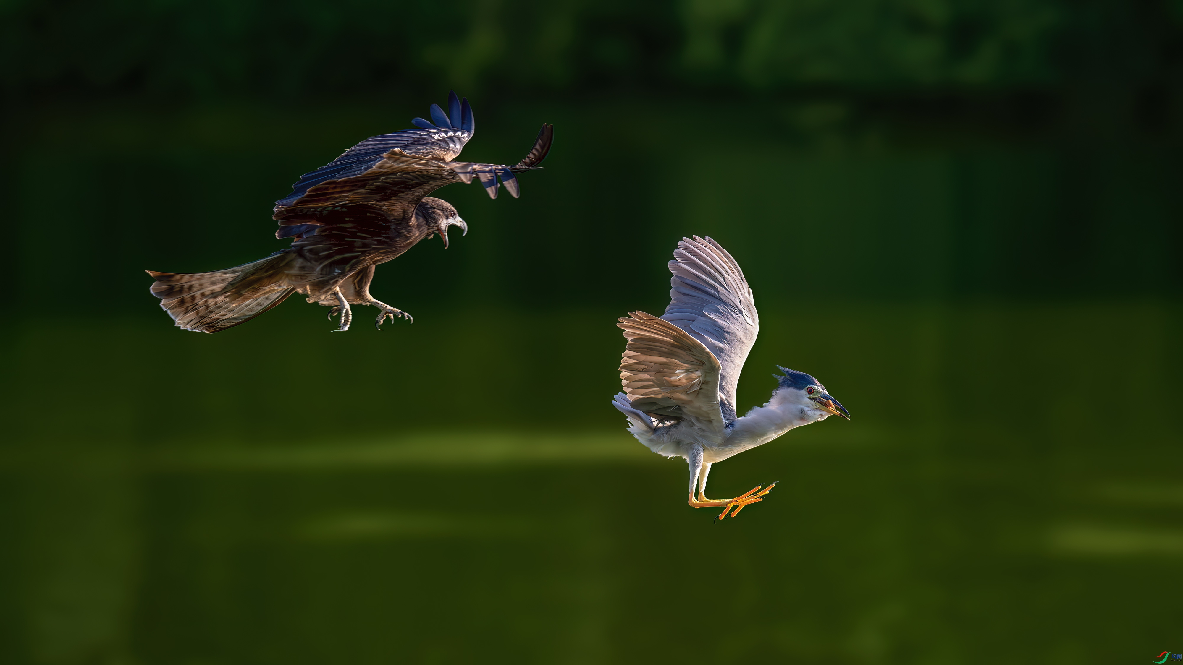 DSC_4404.jpg