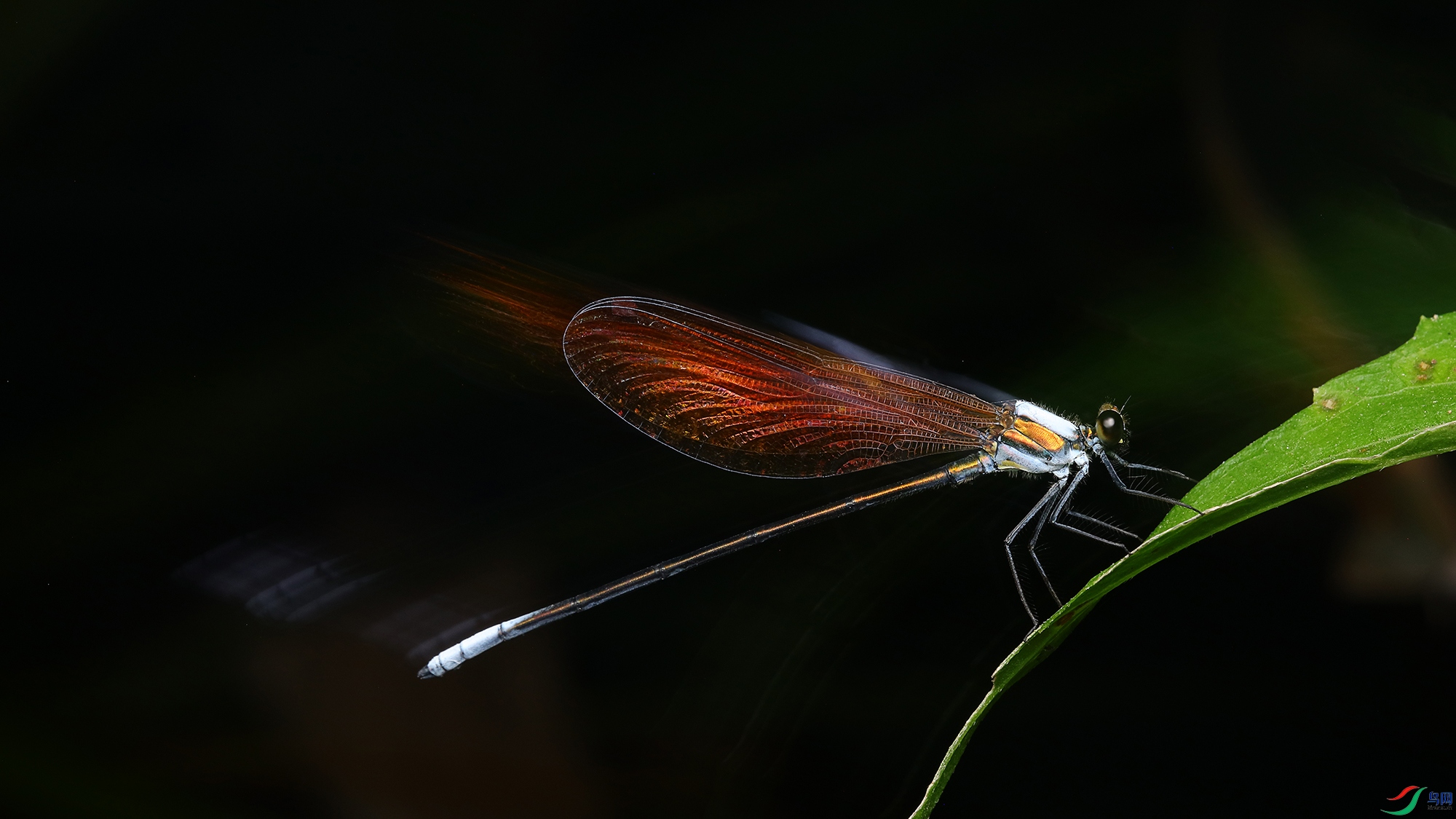 0M7A79800421.jpg