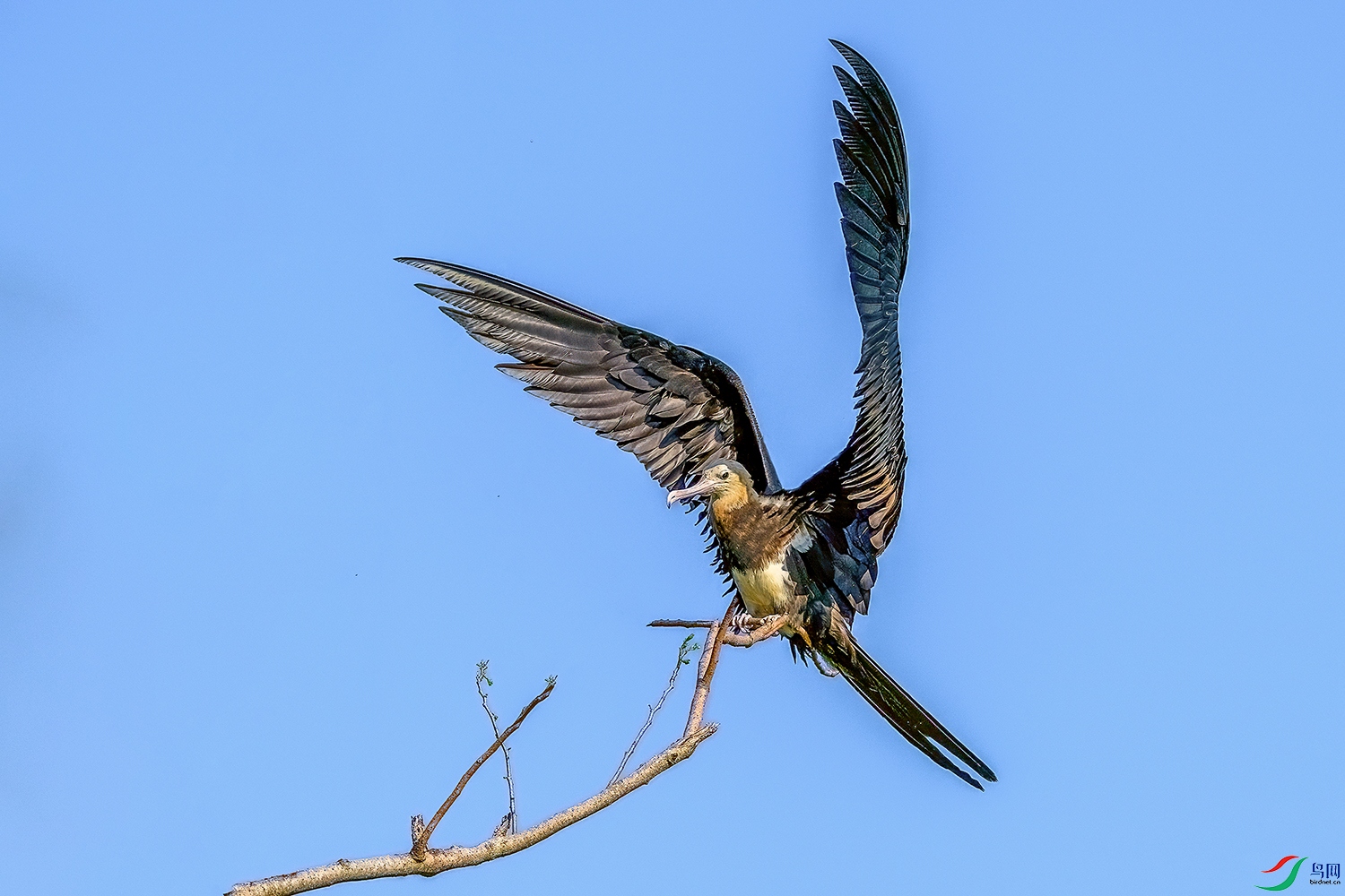 DSC_8434b.jpg