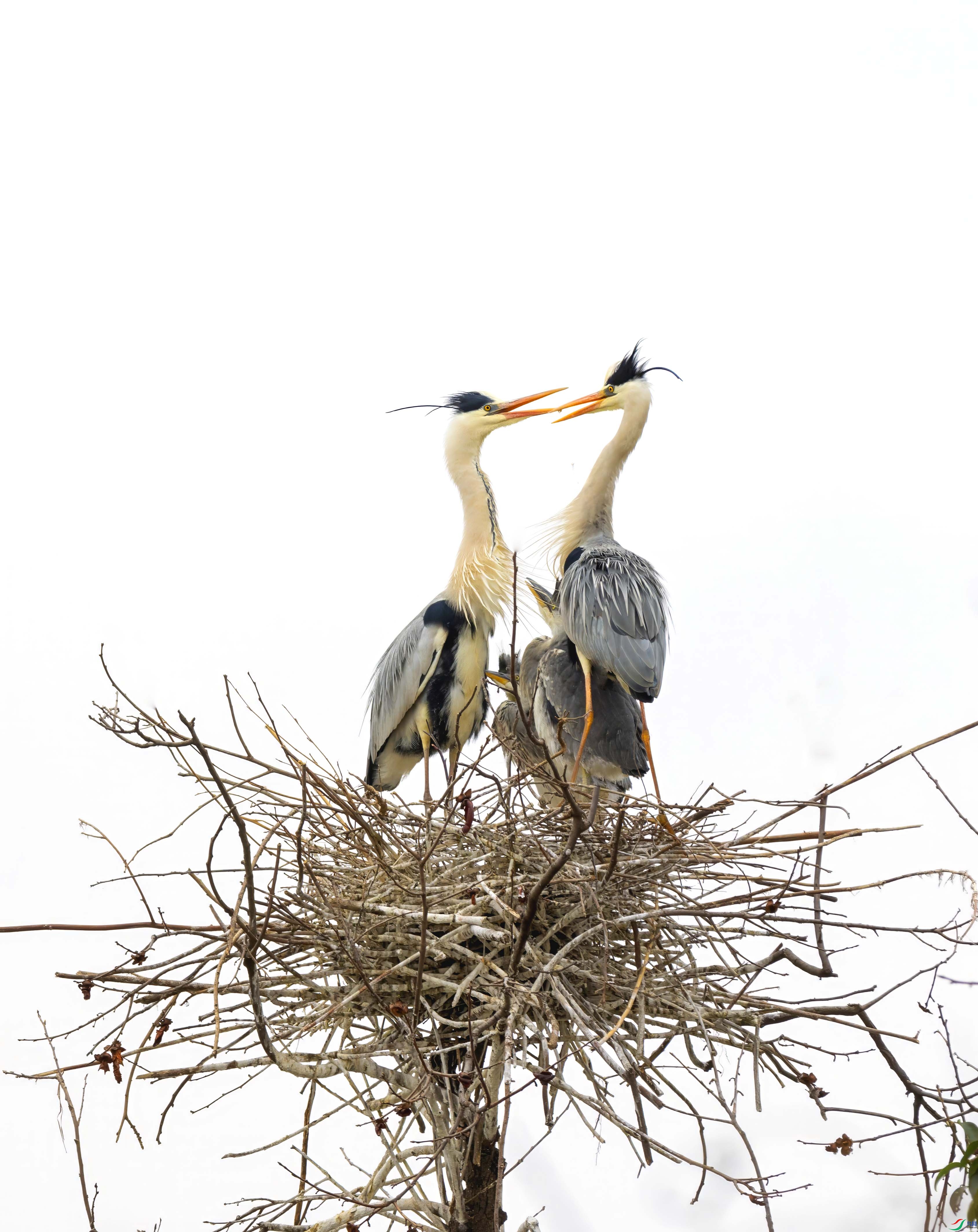 C87A4259 ���� 2.jpg