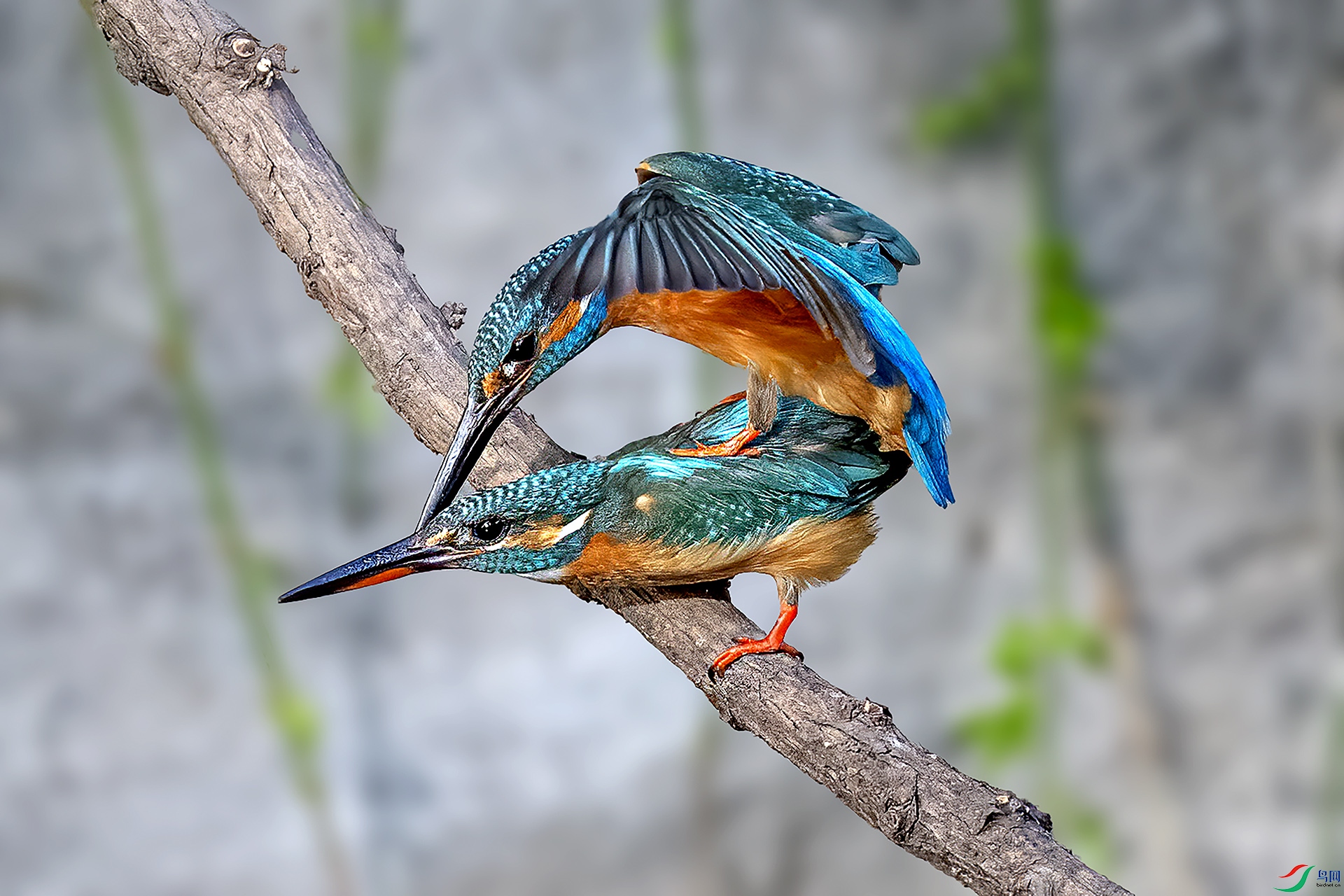 DSC_1054-.jpg