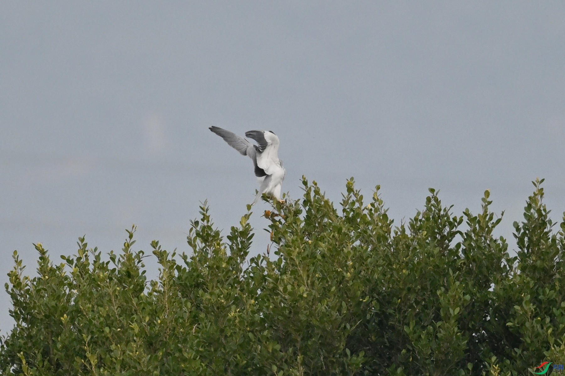 DSC_7852.JPG