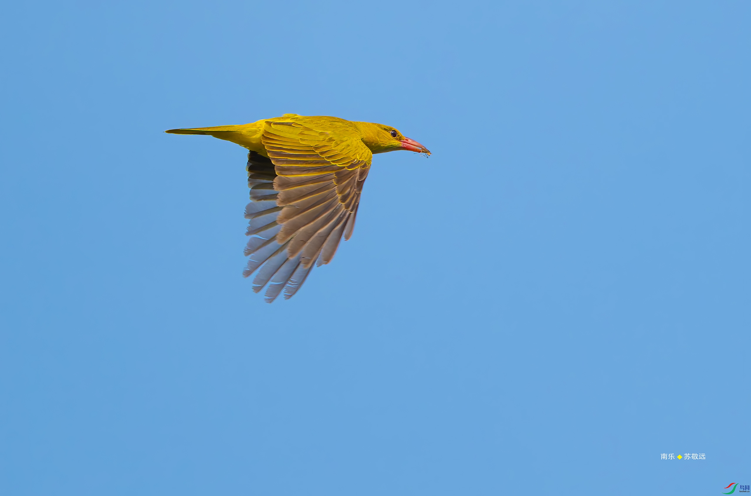 _DSC6905-DxO_С.jpg