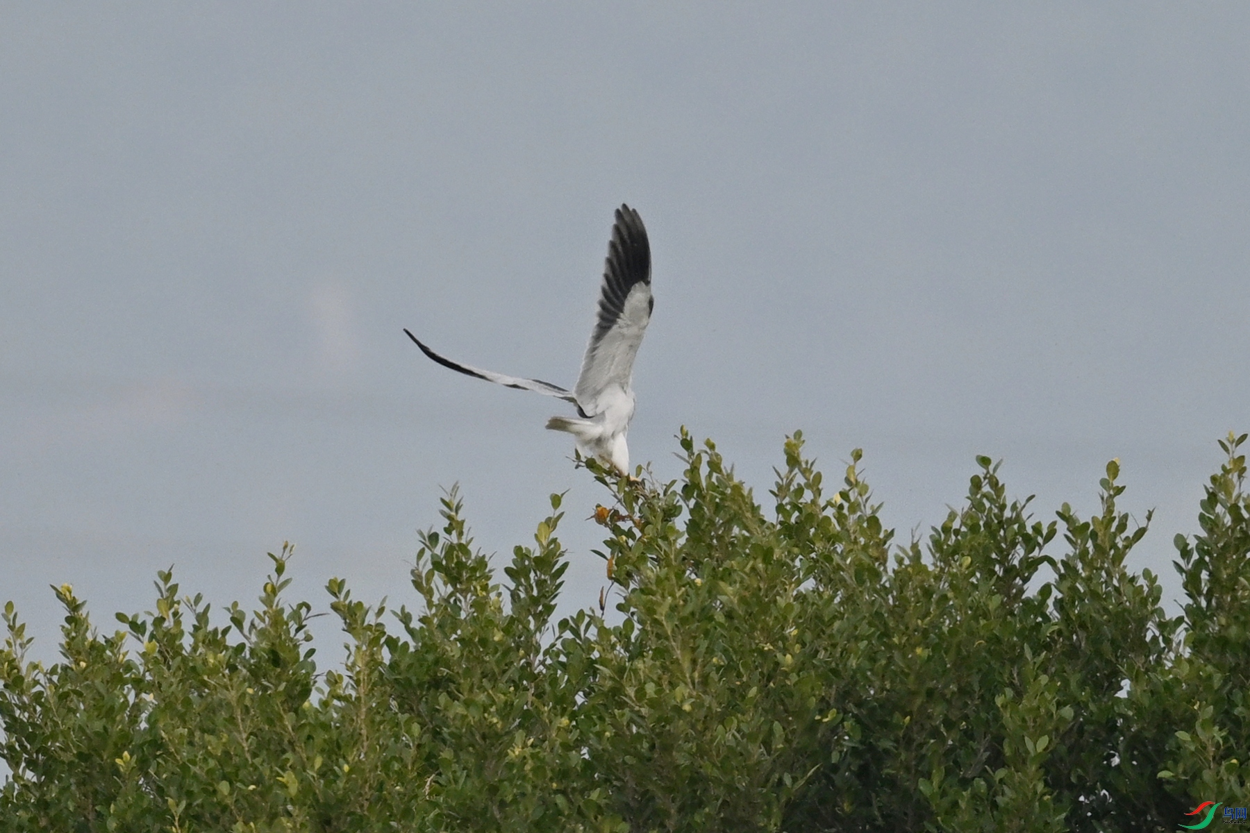 DSC_7853.JPG