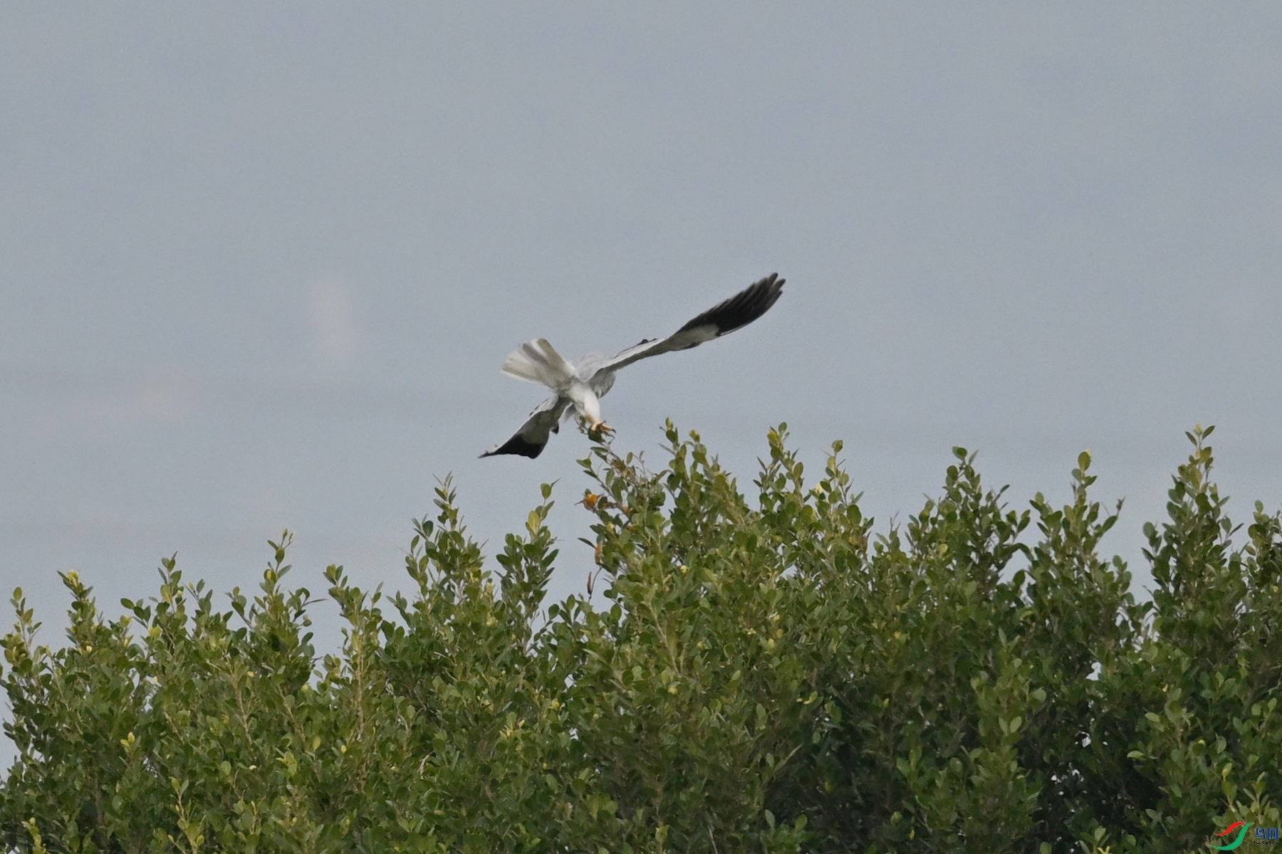 DSC_7854.JPG