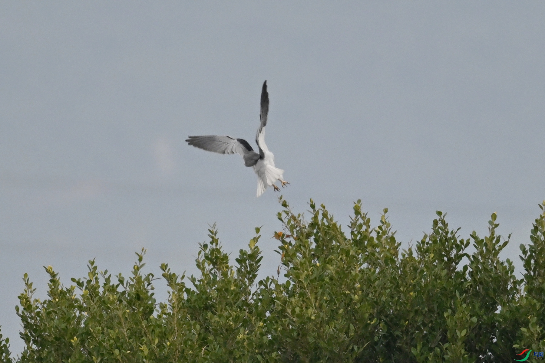 DSC_7856.JPG