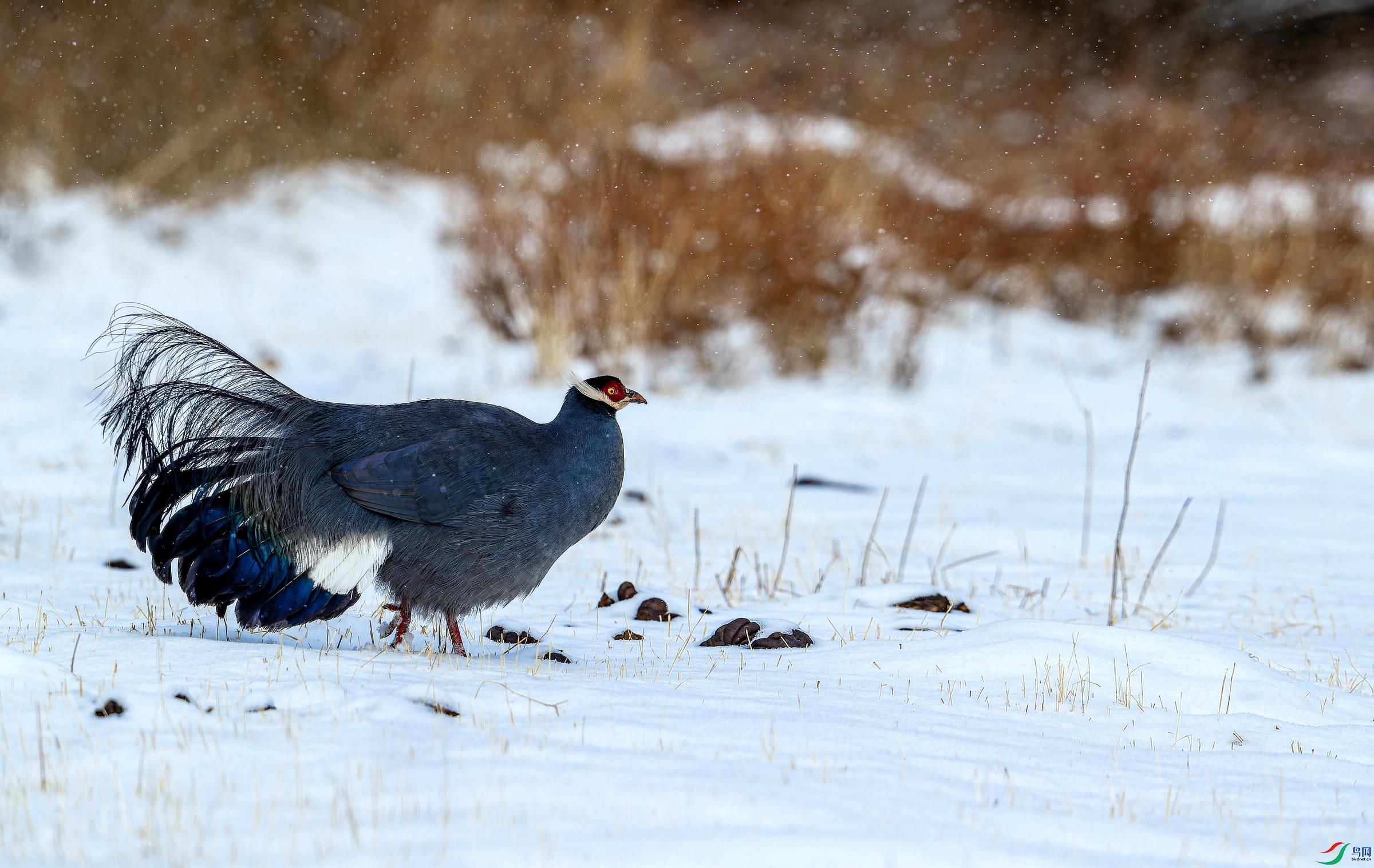 ������ (1424)-01.jpg