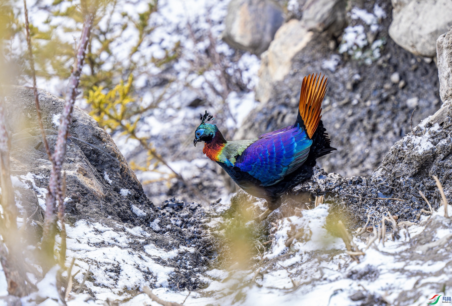 ��β������һ�� (4)-01.jpg