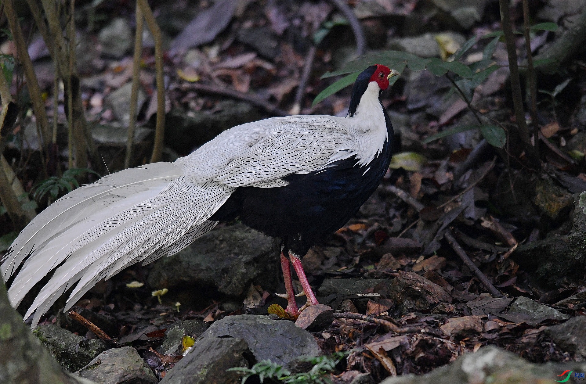 DSC_2276.jpg