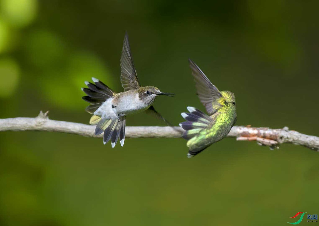 �ųɱ� 2026-04-04 16.04.43.jpeg