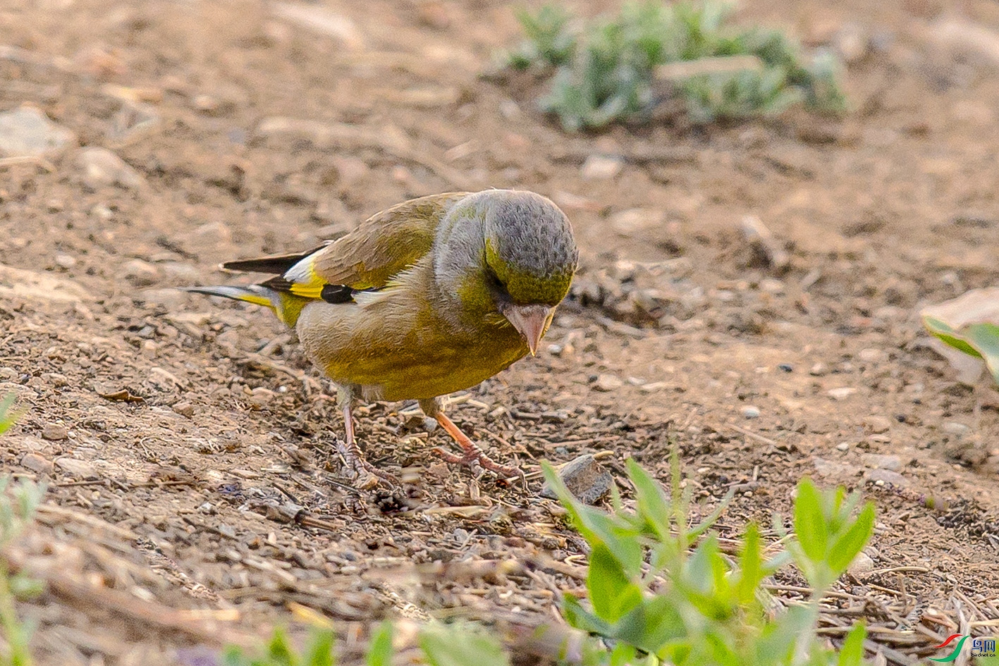 _MG_0026 ����.jpg