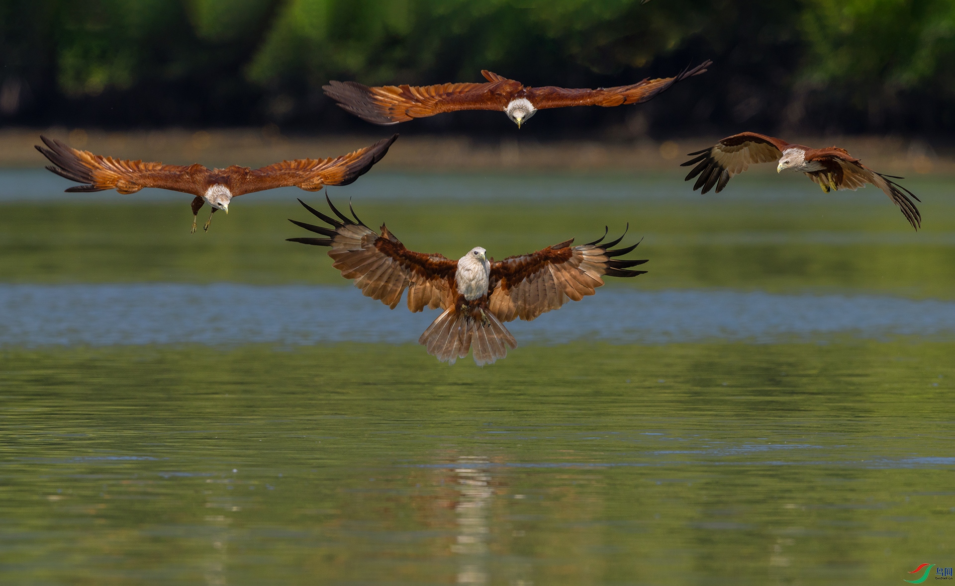 0E8A5742����  03.jpg