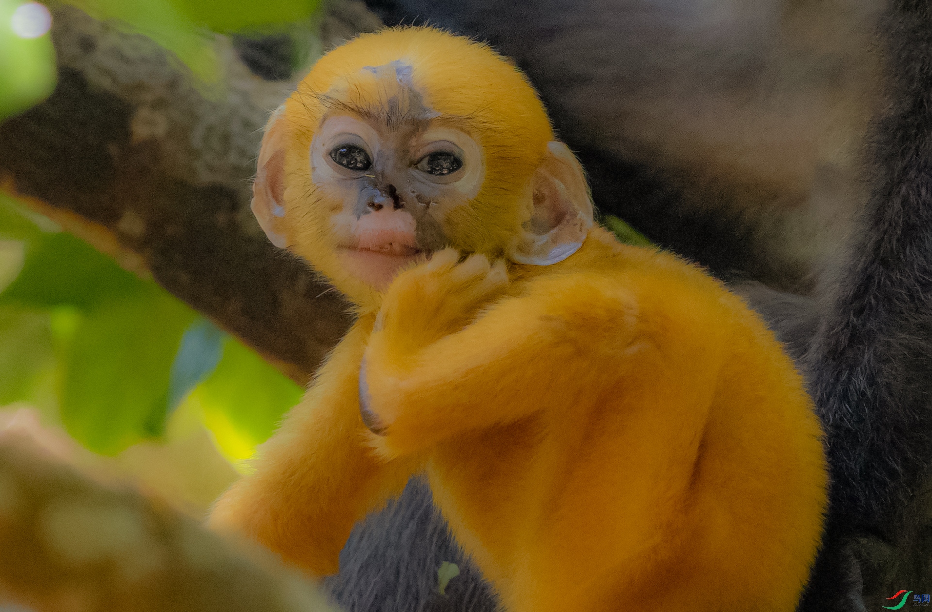 0E8A7557����  003.jpg