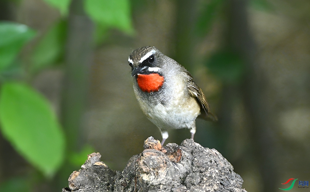 DSC_5433.JPG