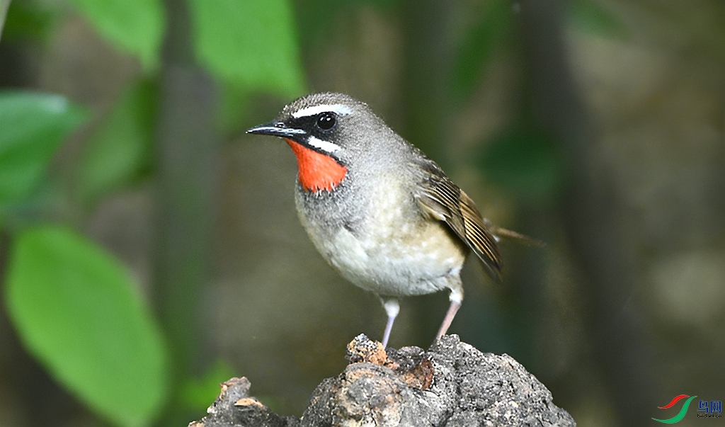 DSC_5453.JPG