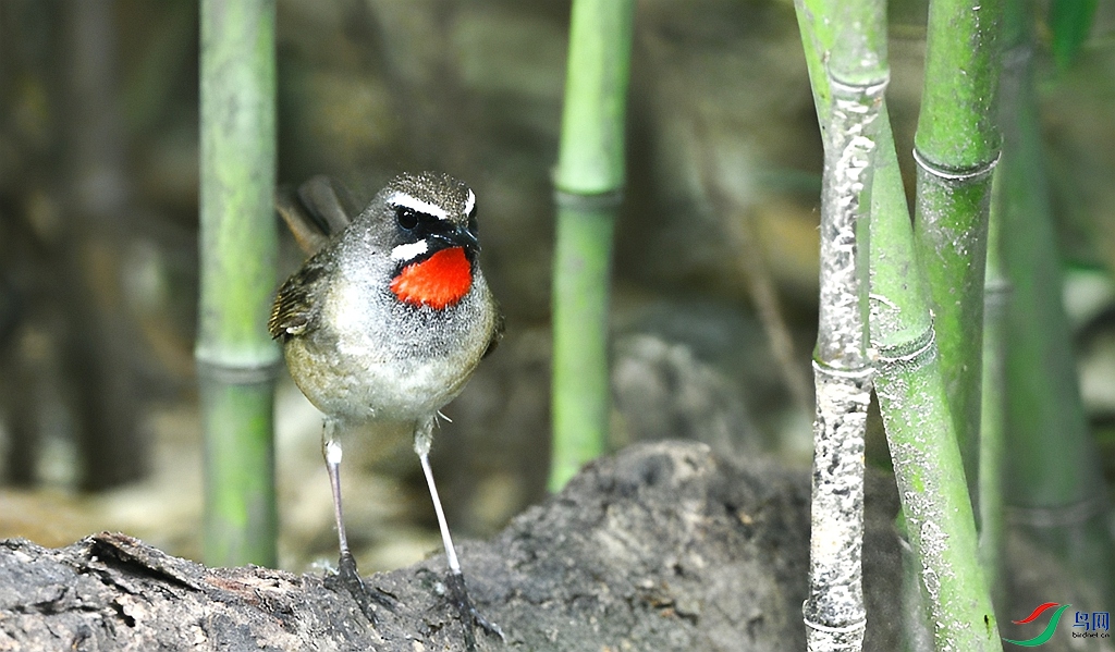 DSC_5177.JPG