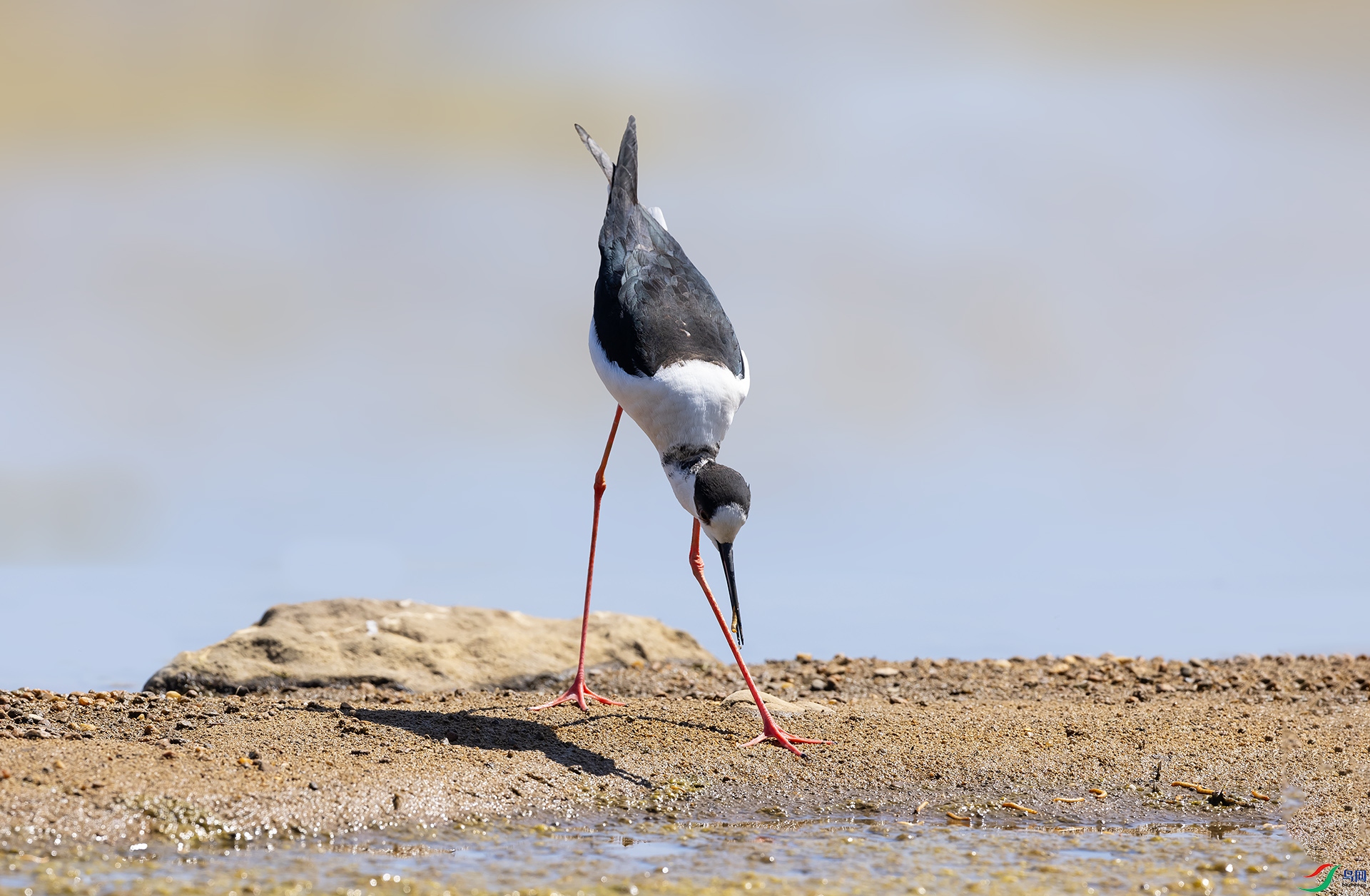 019A2846 ����2.jpg