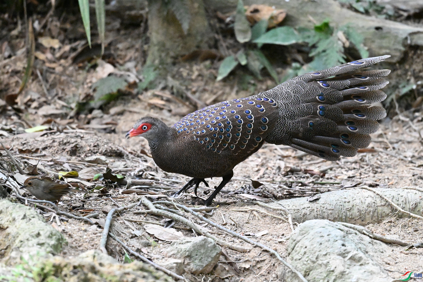 DSC_7708.JPG