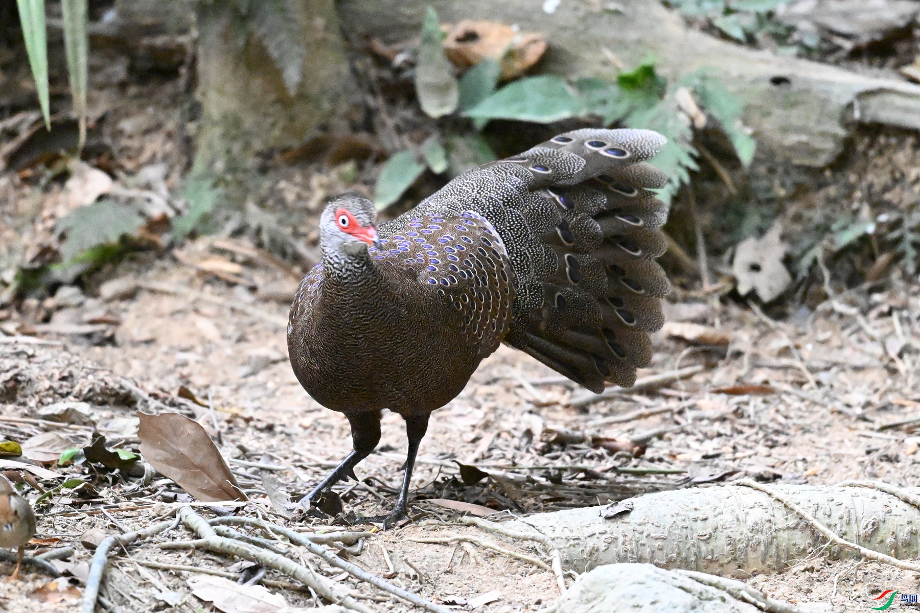 DSC_7714.JPG