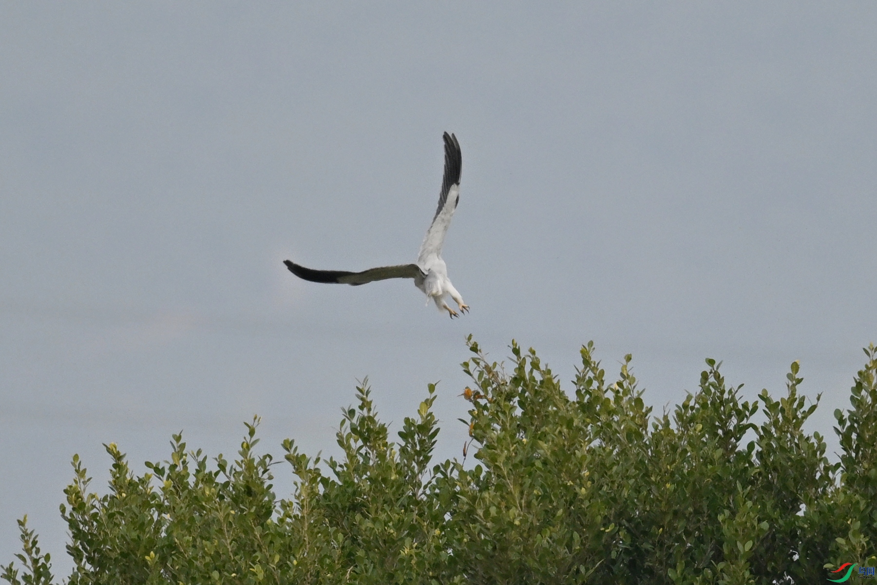 DSC_7857.JPG