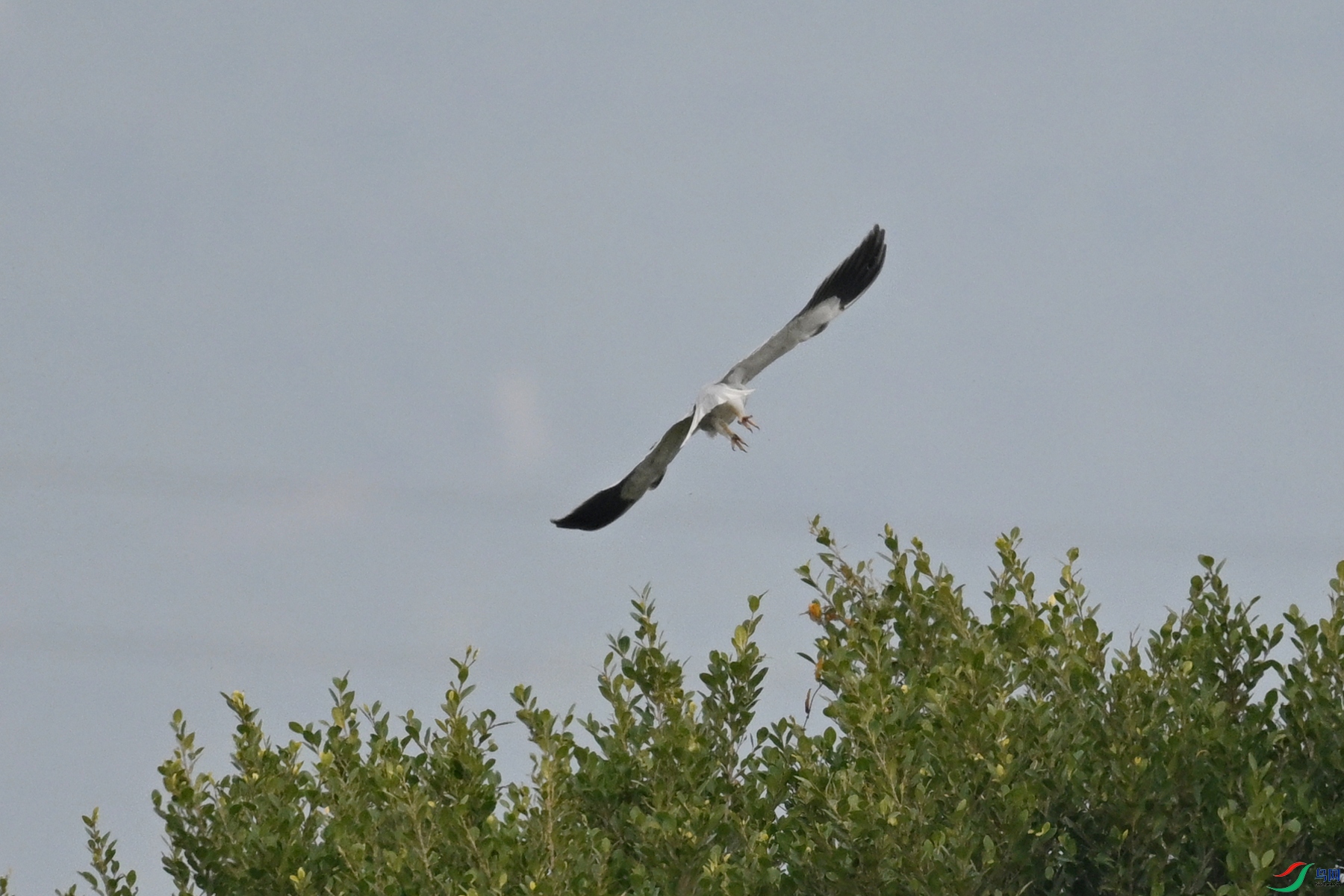DSC_7858.JPG