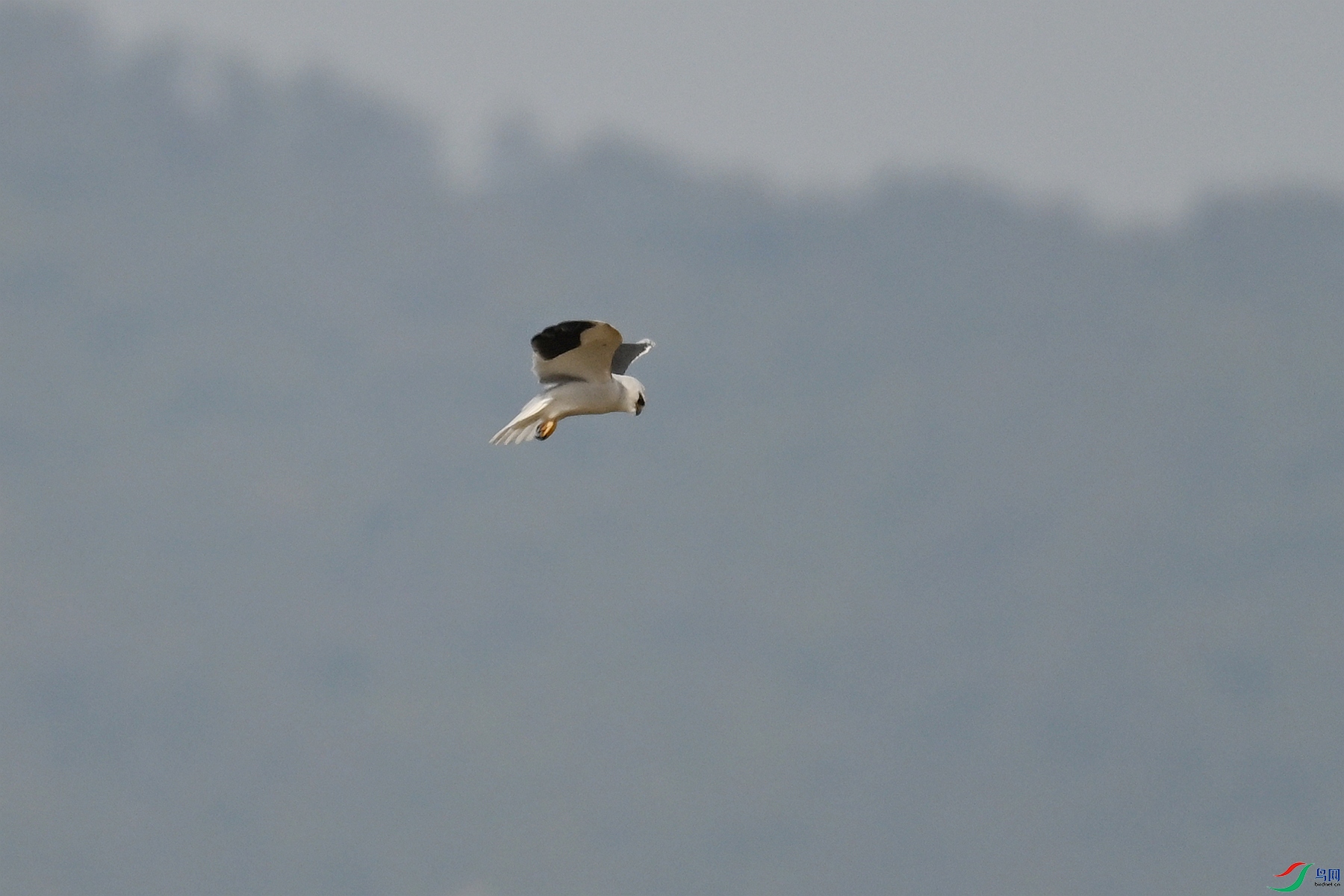 DSC_7951.JPG